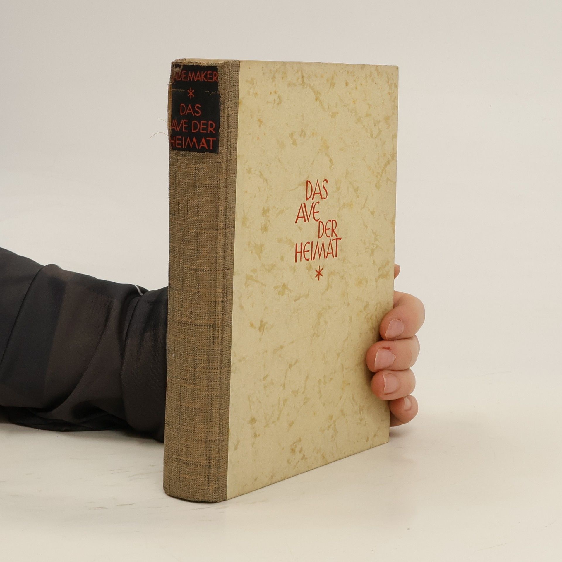 Franziska Rademaker Das Ave der Heimat