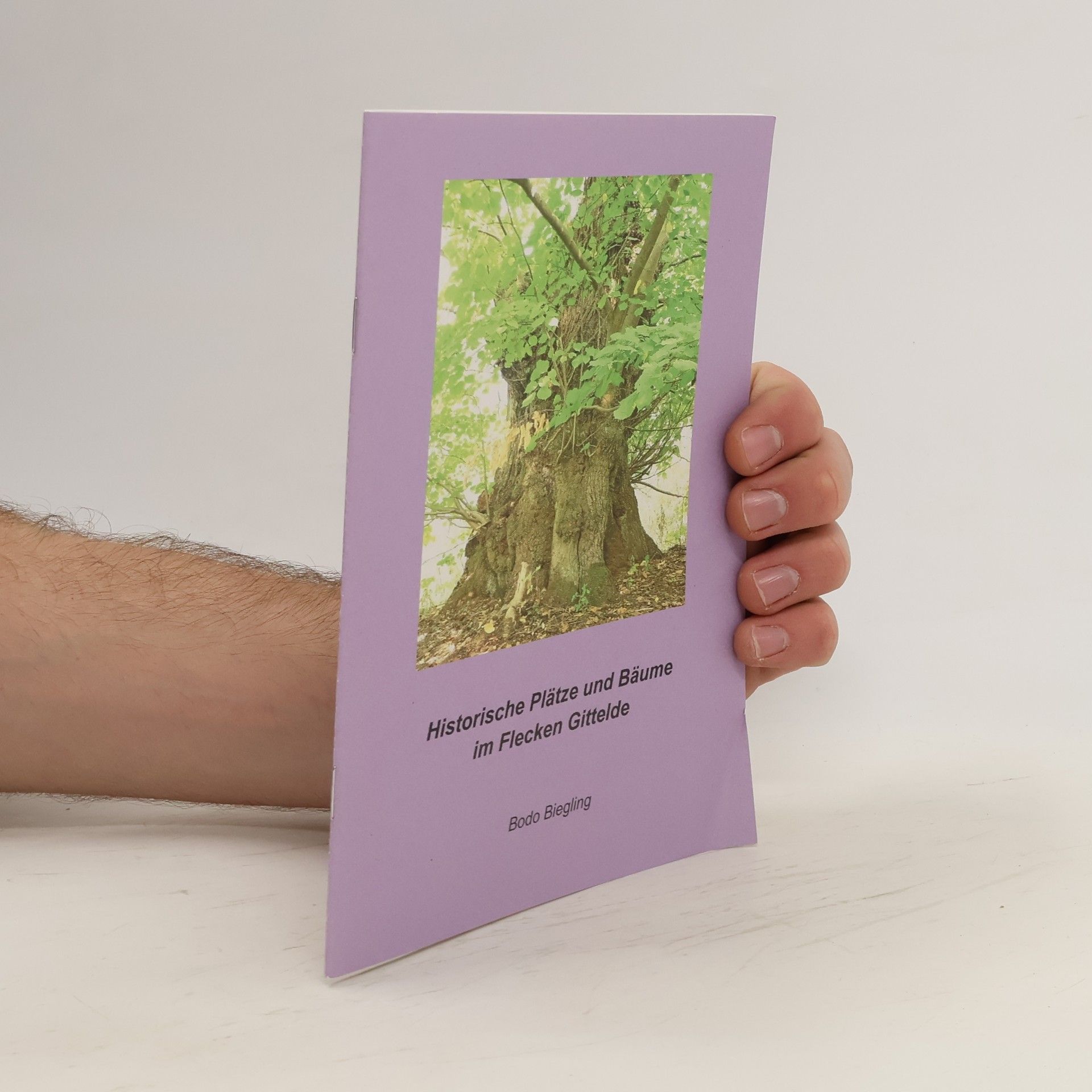 Autorenkollektiv Historische Plätze und Bäume im Flecken Gittelde