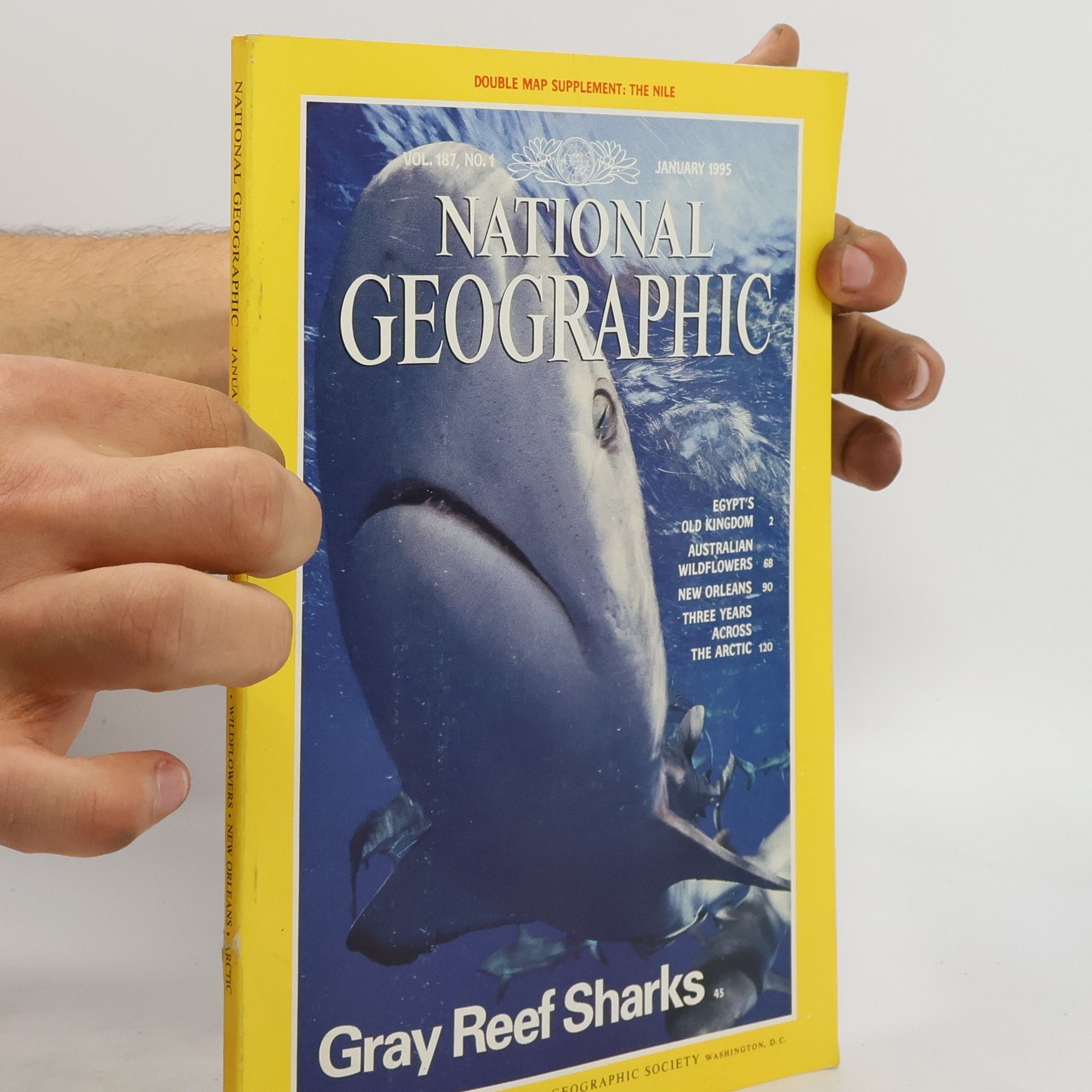 Collectif d'auteurs National Geographic 1/1995