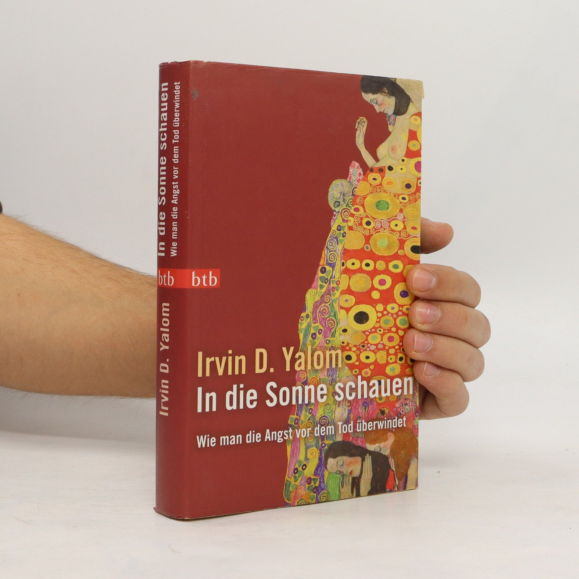 Irvin D. Yalom In die Sonne schauen
