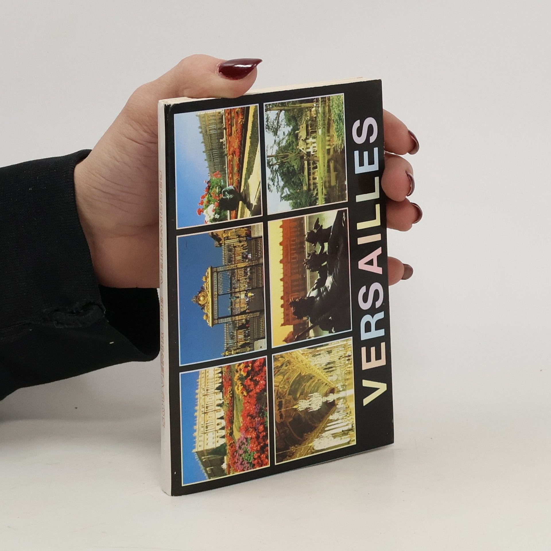 Collectif d'auteurs Versailles