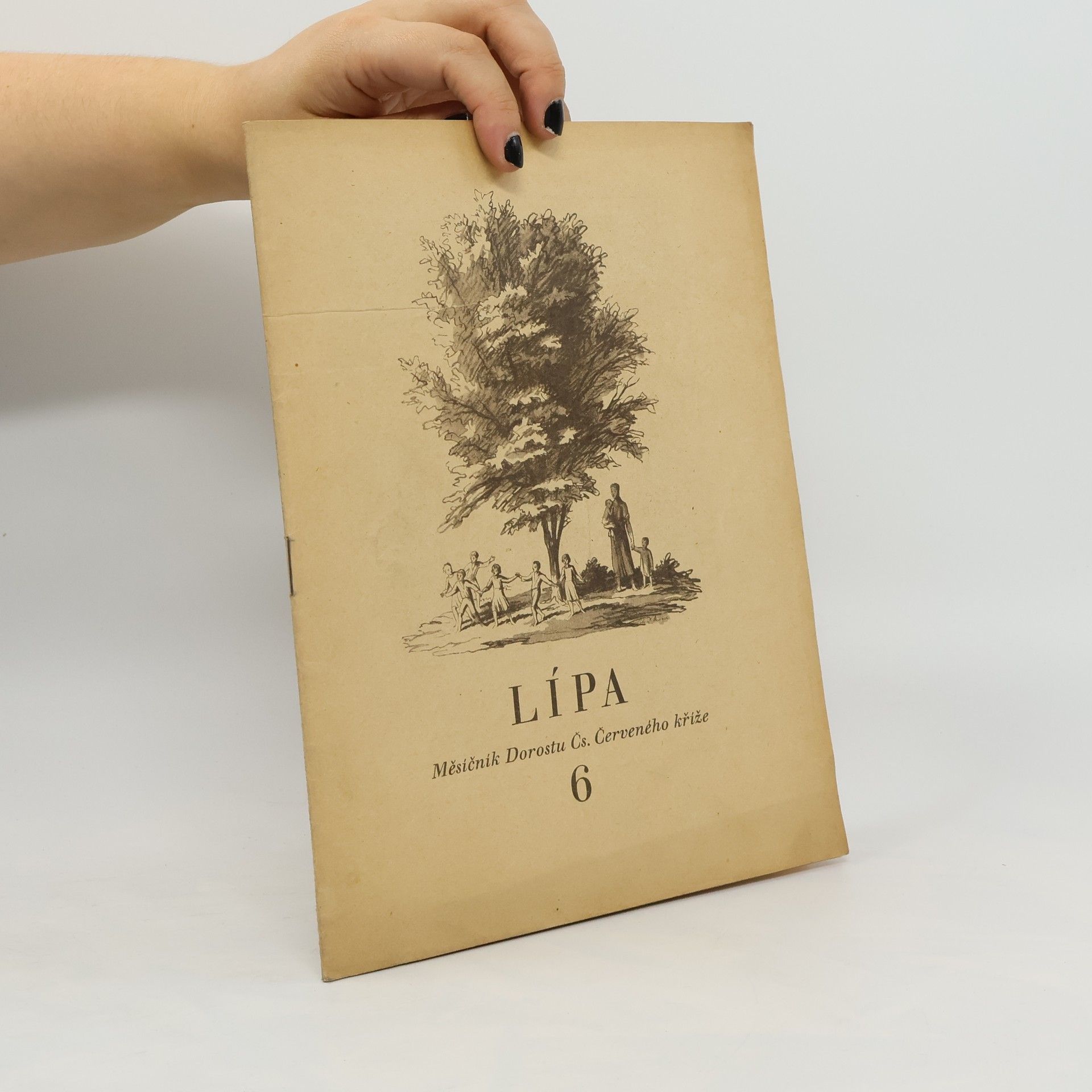 Collectif d'auteurs Lípa 6
