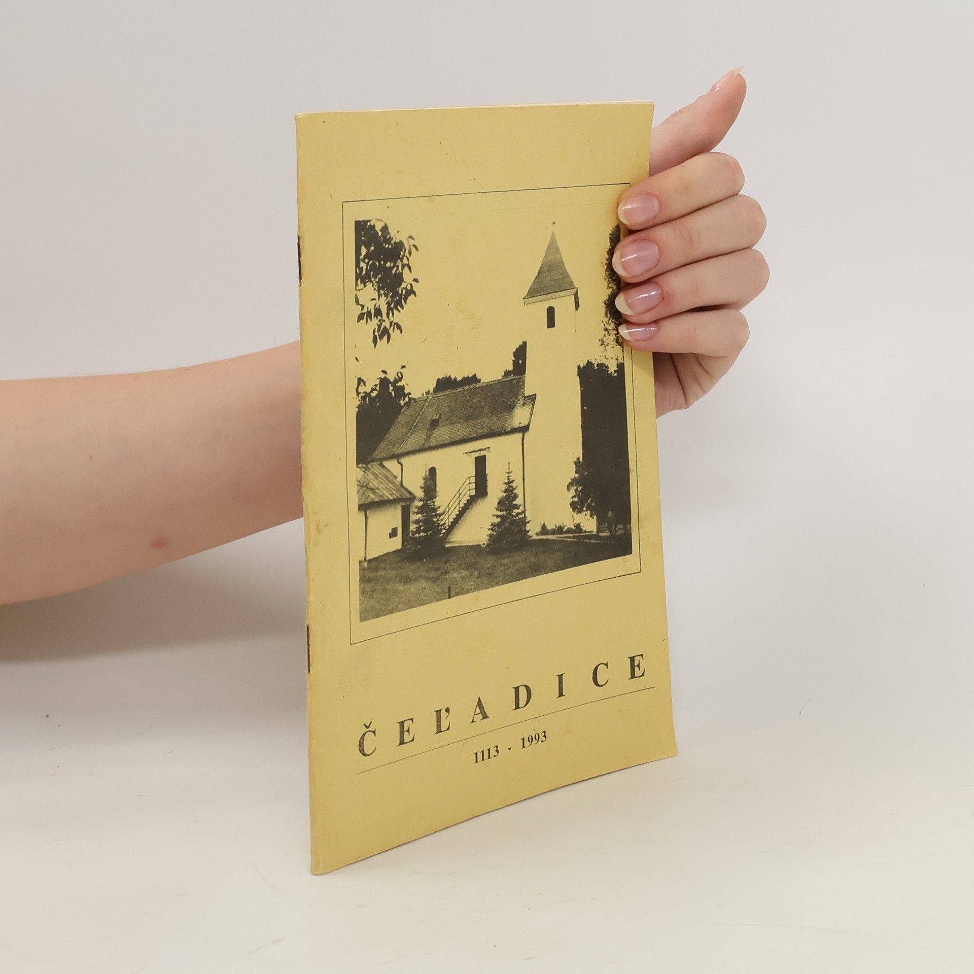 Autorenkollektiv Čel'adice 1113-1993