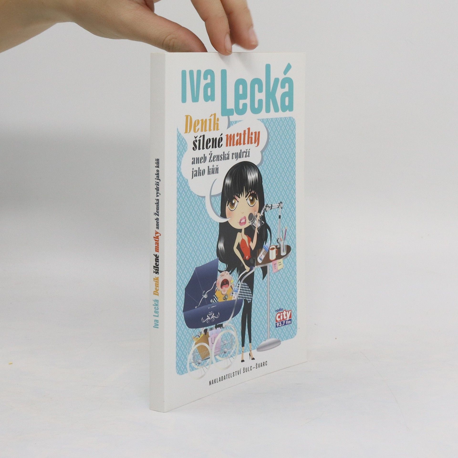 Iva Lecká Deník šílené matky