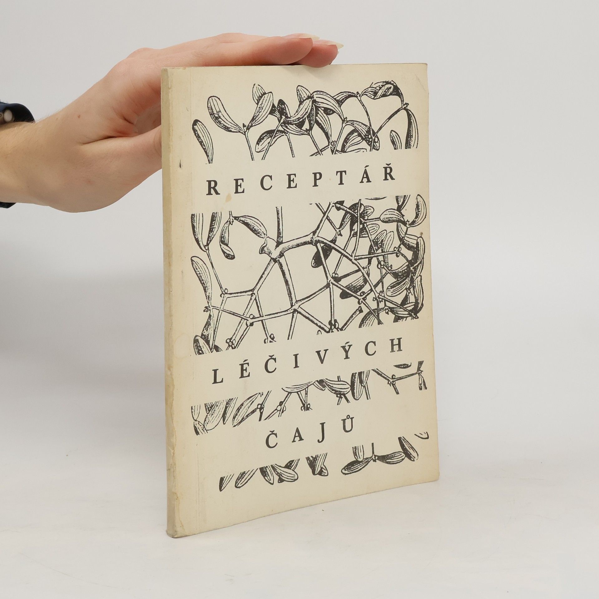 Auteurscollectief Receptář léčivých čajů