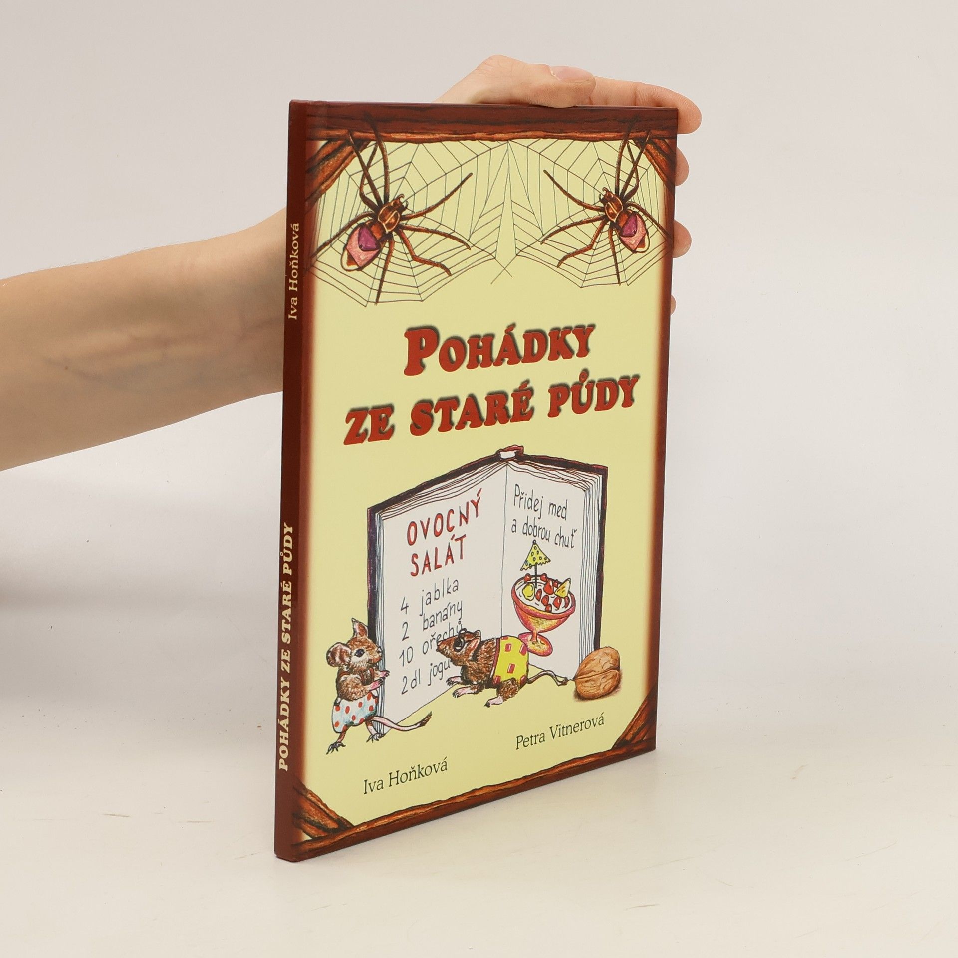 Vladimíra Hoňková Pohádky ze staré půdy