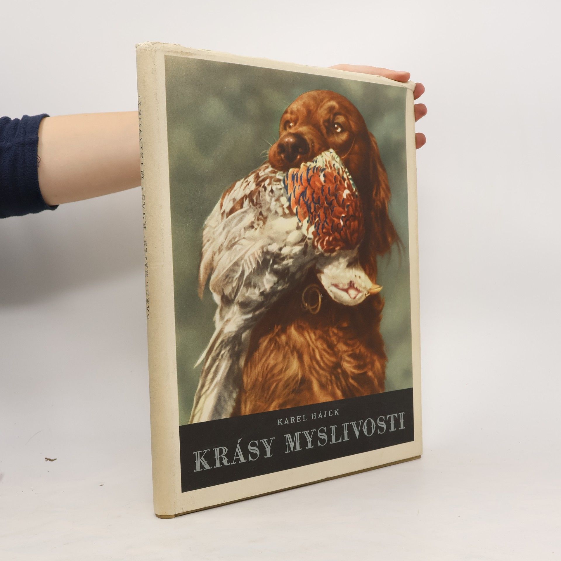 Karel Hájek Krásy myslivosti