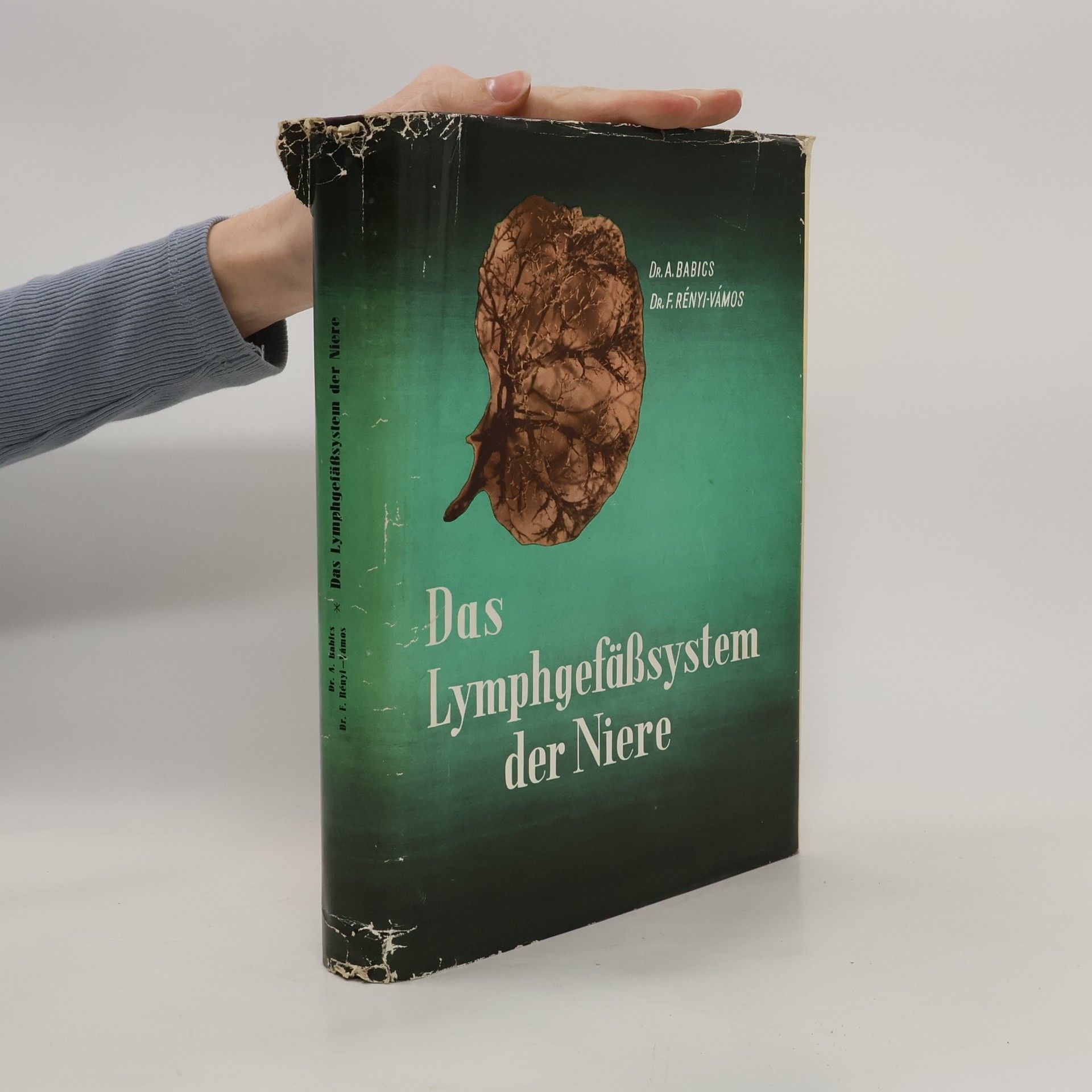 Antal Babics Das Lymphgefässsystem der Niere und Seine Bedeutung in der Niere Pathologie und Chirurgie