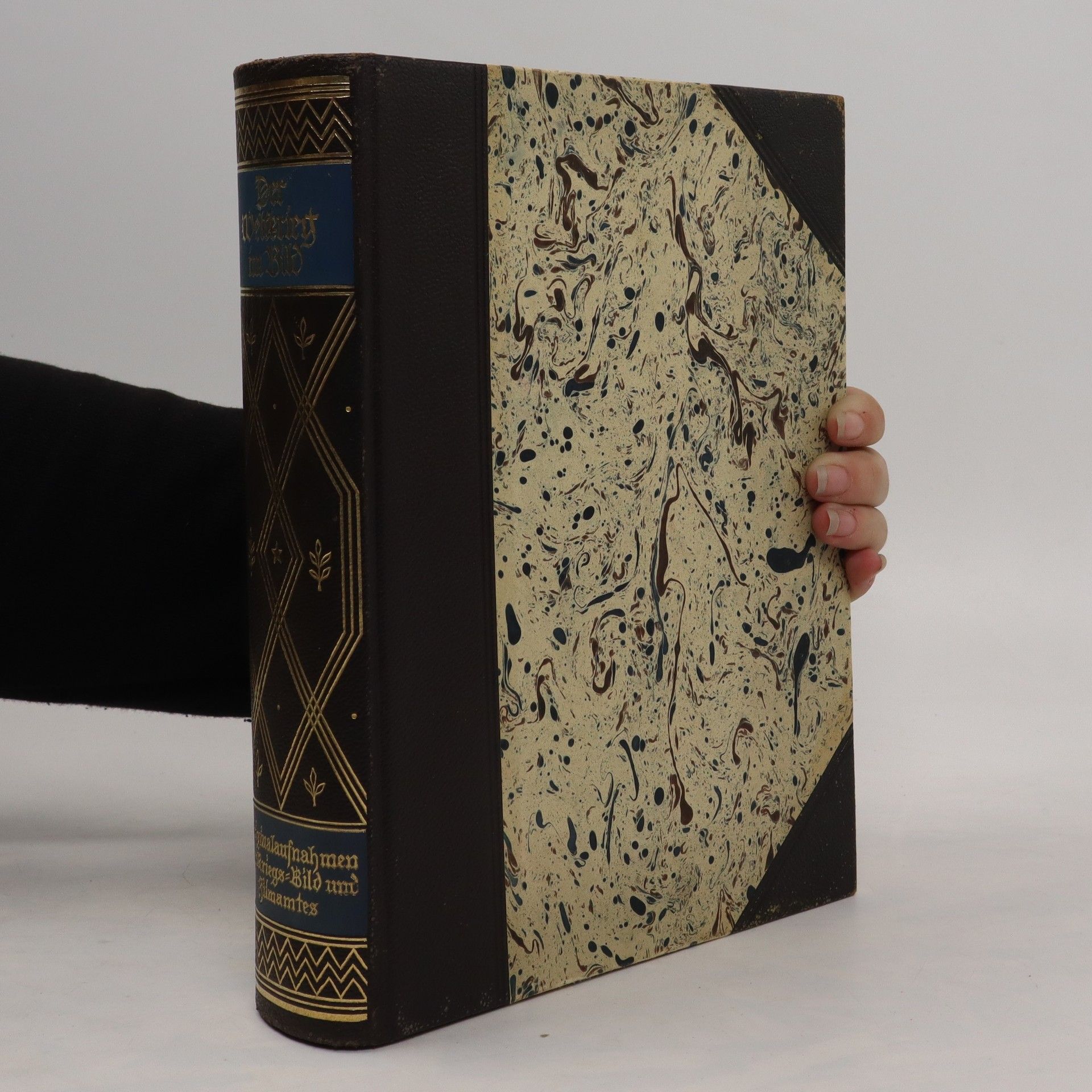 Der Weltkrieg im Bild. Originalaufnahmen des Kriegs- Bild- und Filmamtes aus der modernen Materialschlacht