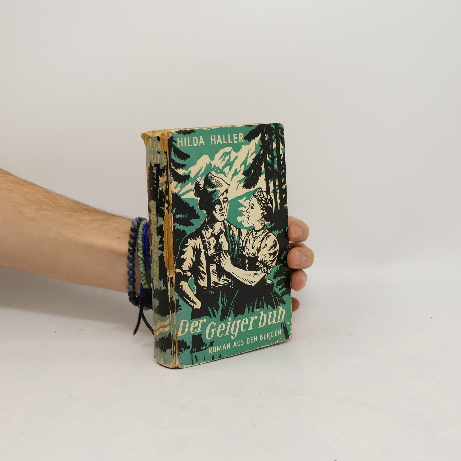 Hilda Haller Der Geigerbub
