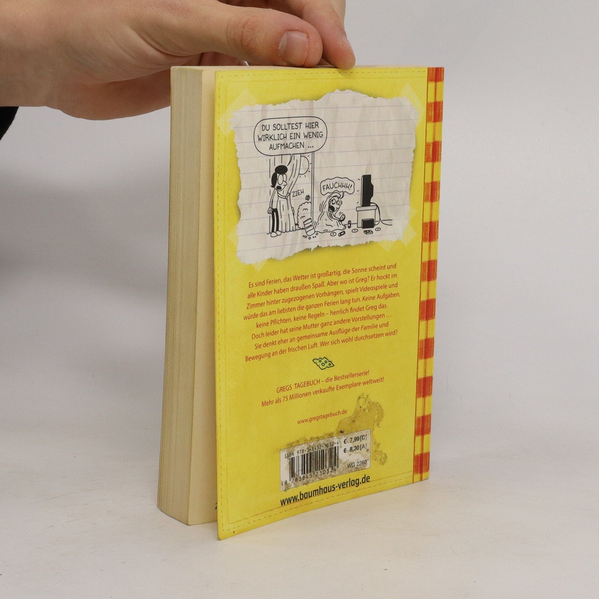 Jeff Kinney Gregs Tagebuch 4 - Ich war's nicht!