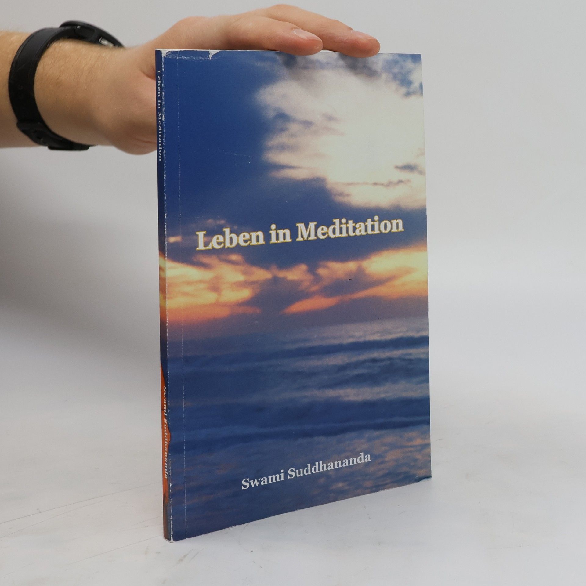 Swami Suddhananda Leben in Meditation