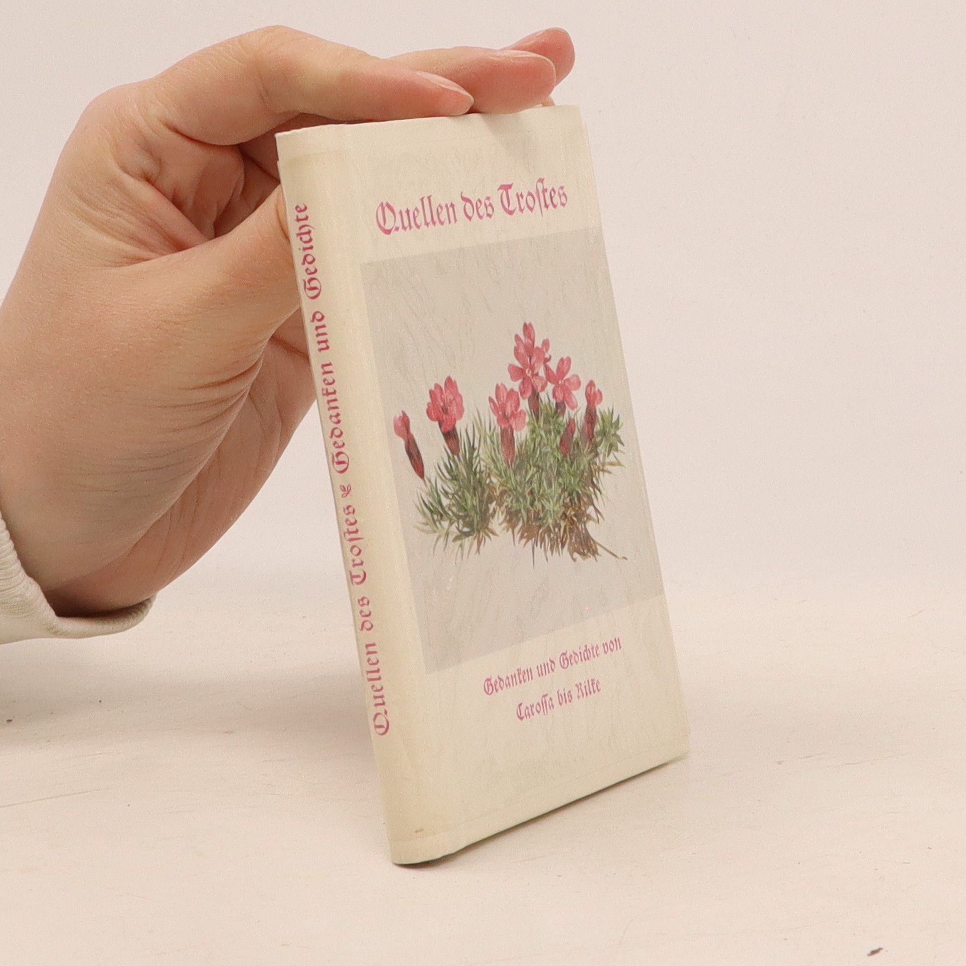 Collectif d'auteurs Quellen des Trostes Gedanken und Gedichte