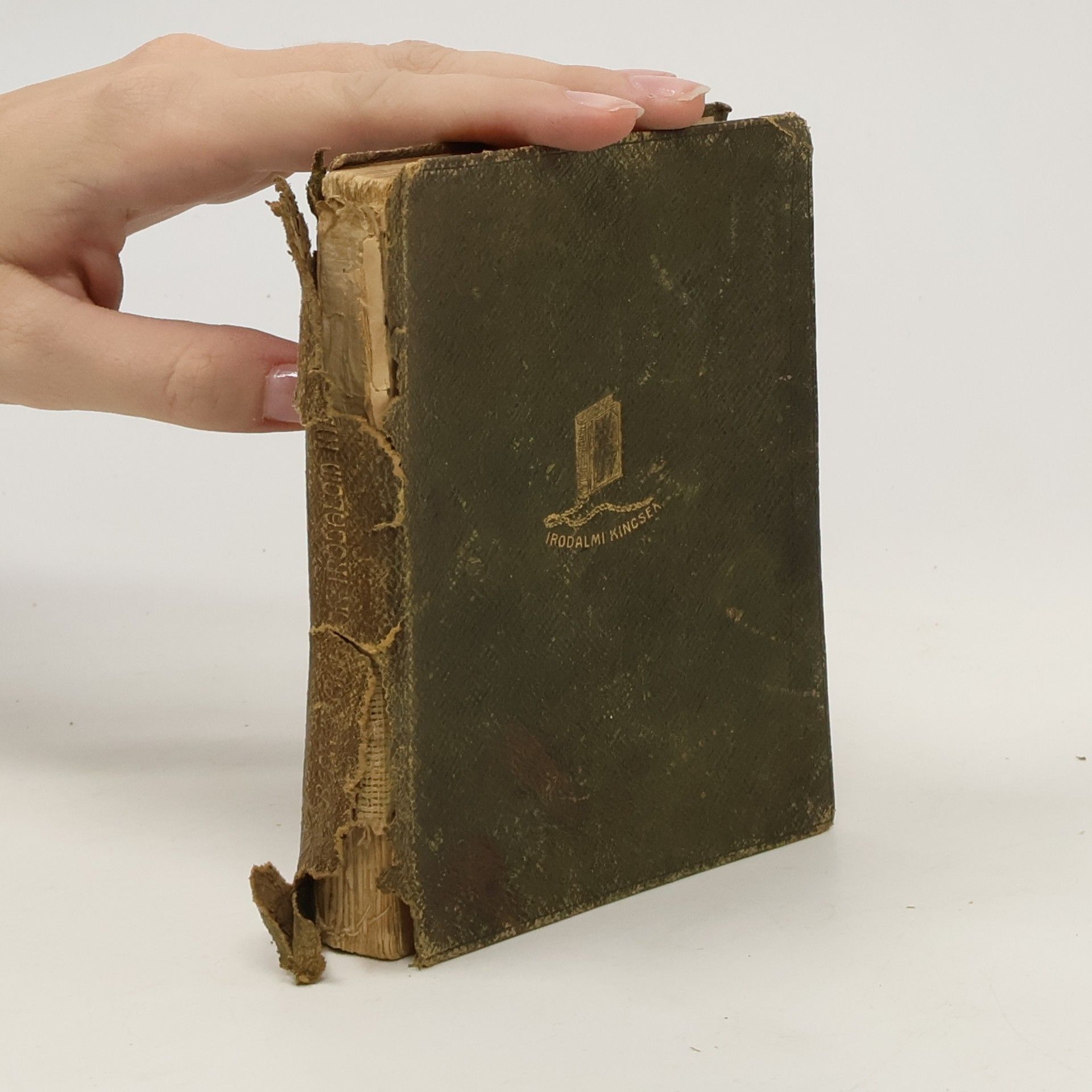 Beöthy Zsolt A magyar irodalom kis-tükre