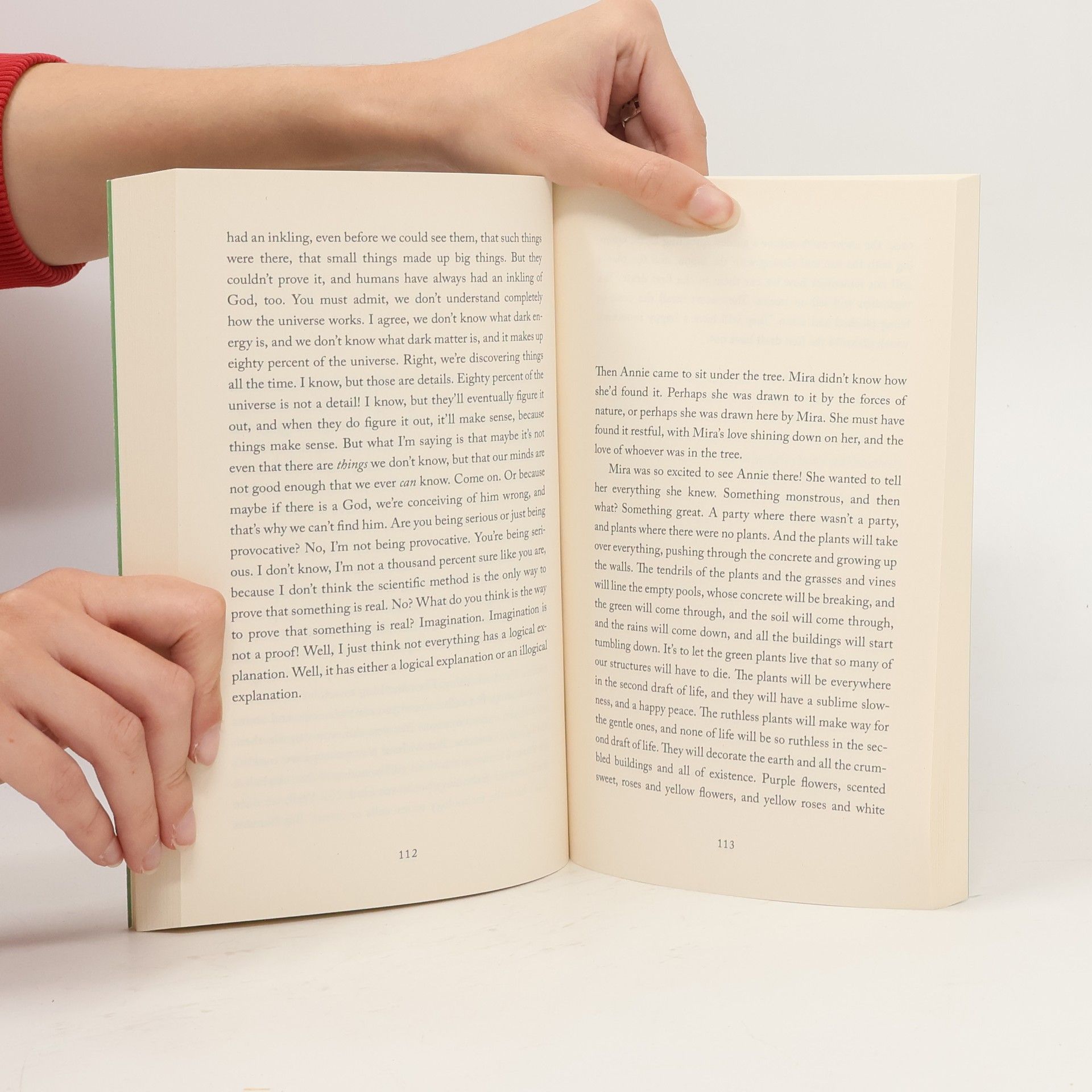 Sheila Heti Pure colour