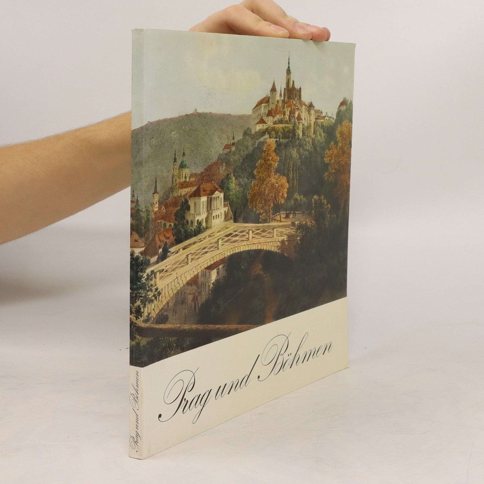 Autorenkollektiv Prag und Böhmen