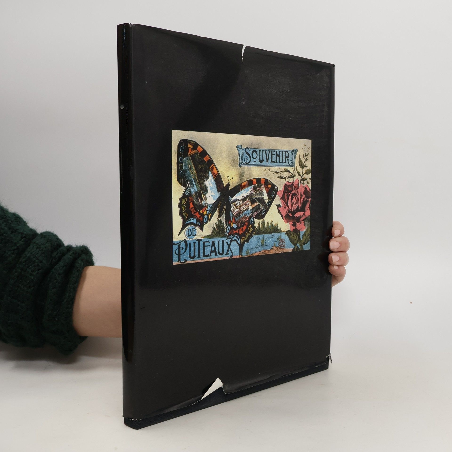 Collectif d'auteurs Souvenir de puteaux