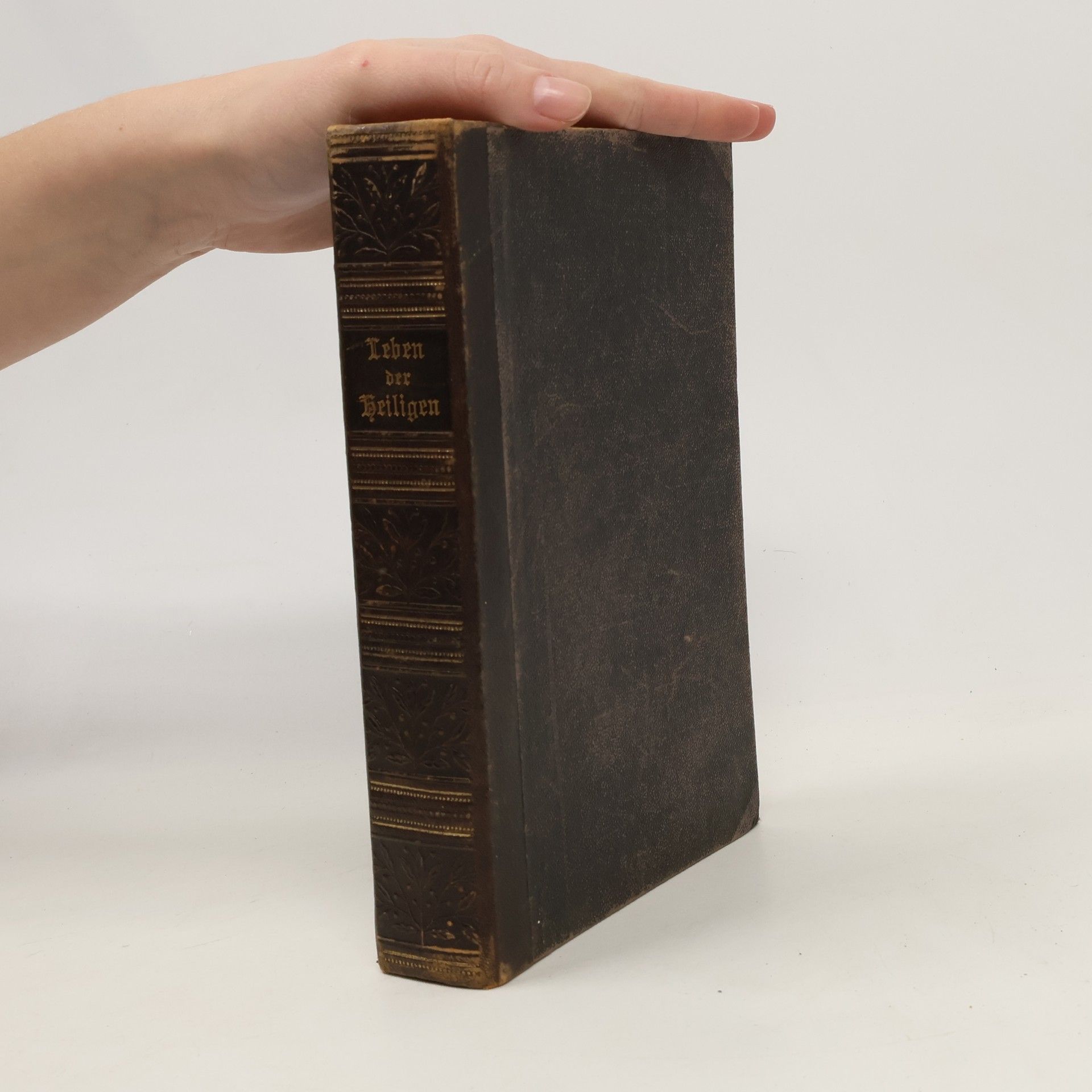 Heinrich Rütjes Leben der Heiligen