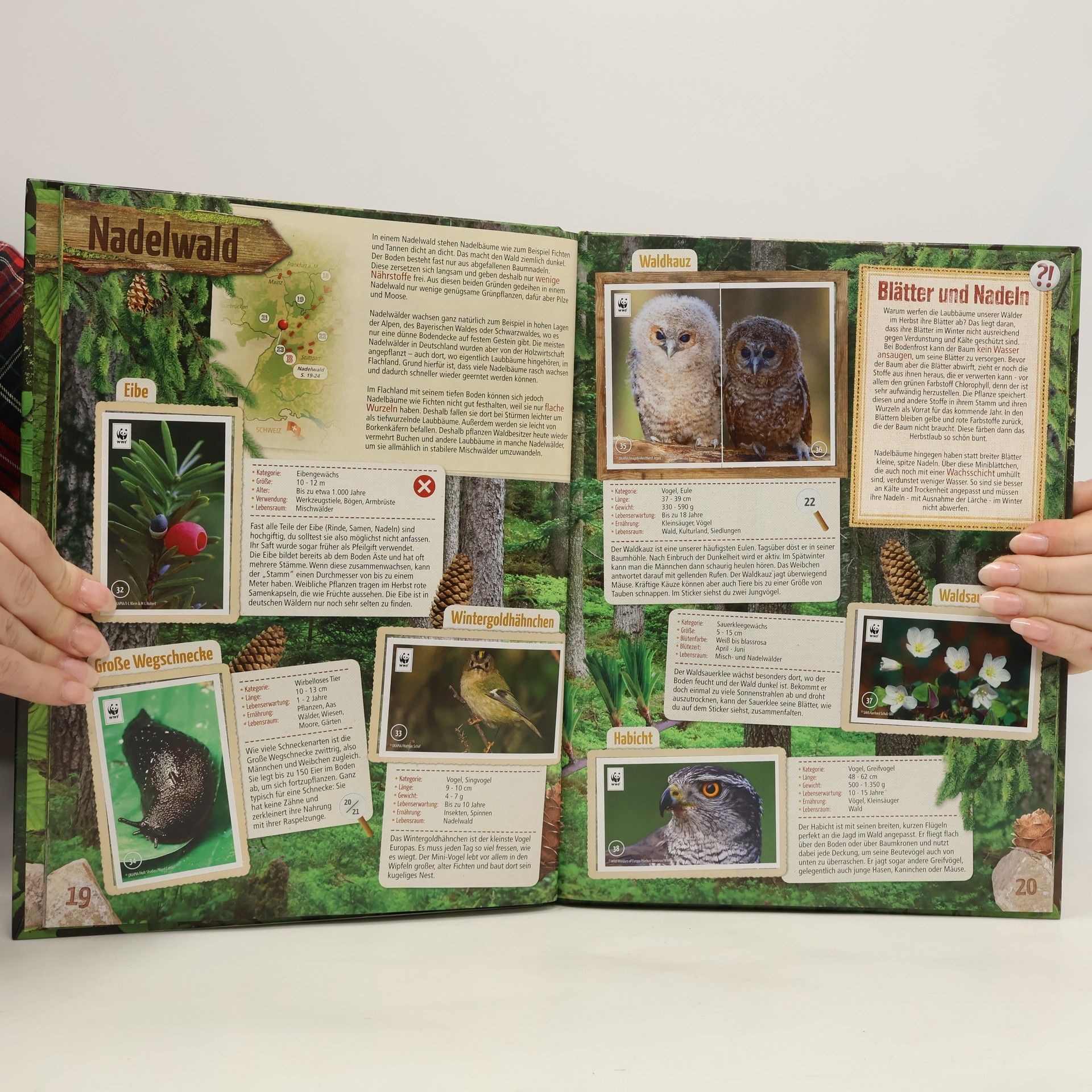 Autorenkollektiv Unser Wald. Mit 180 Stickern die Natur entdecken