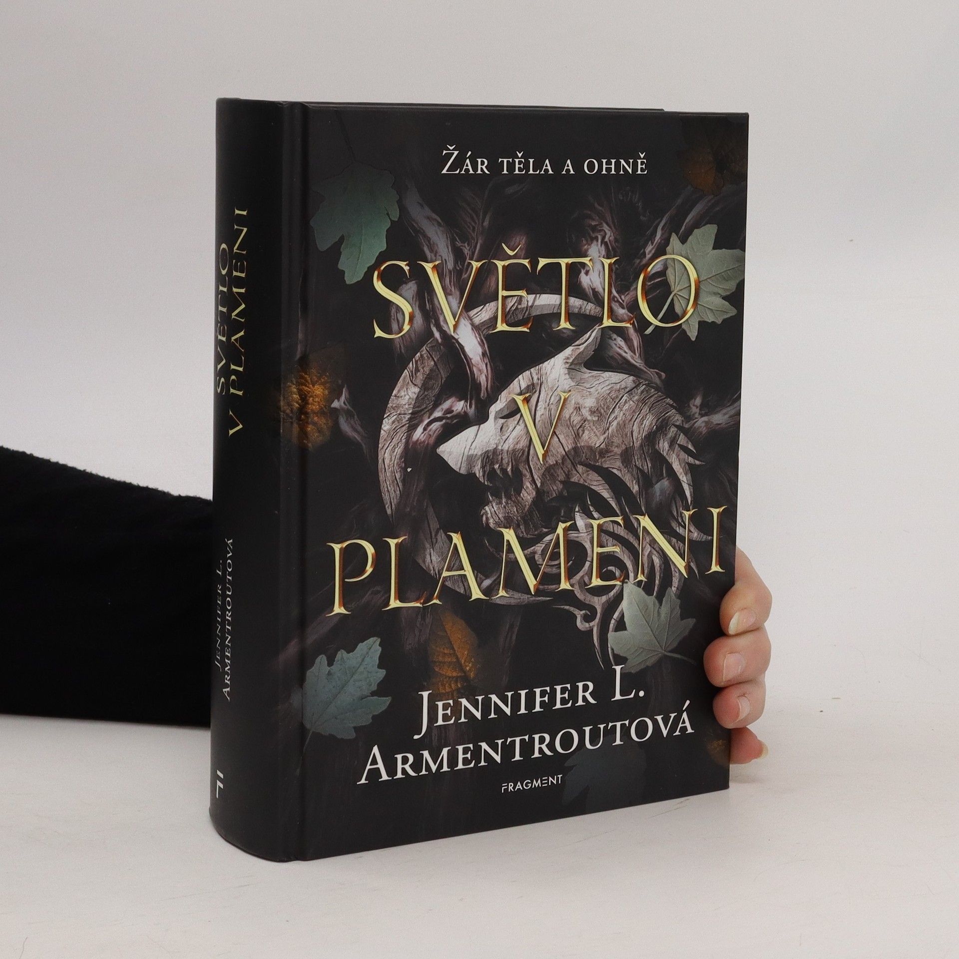 Jennifer L. Armentrout Světlo v plameni