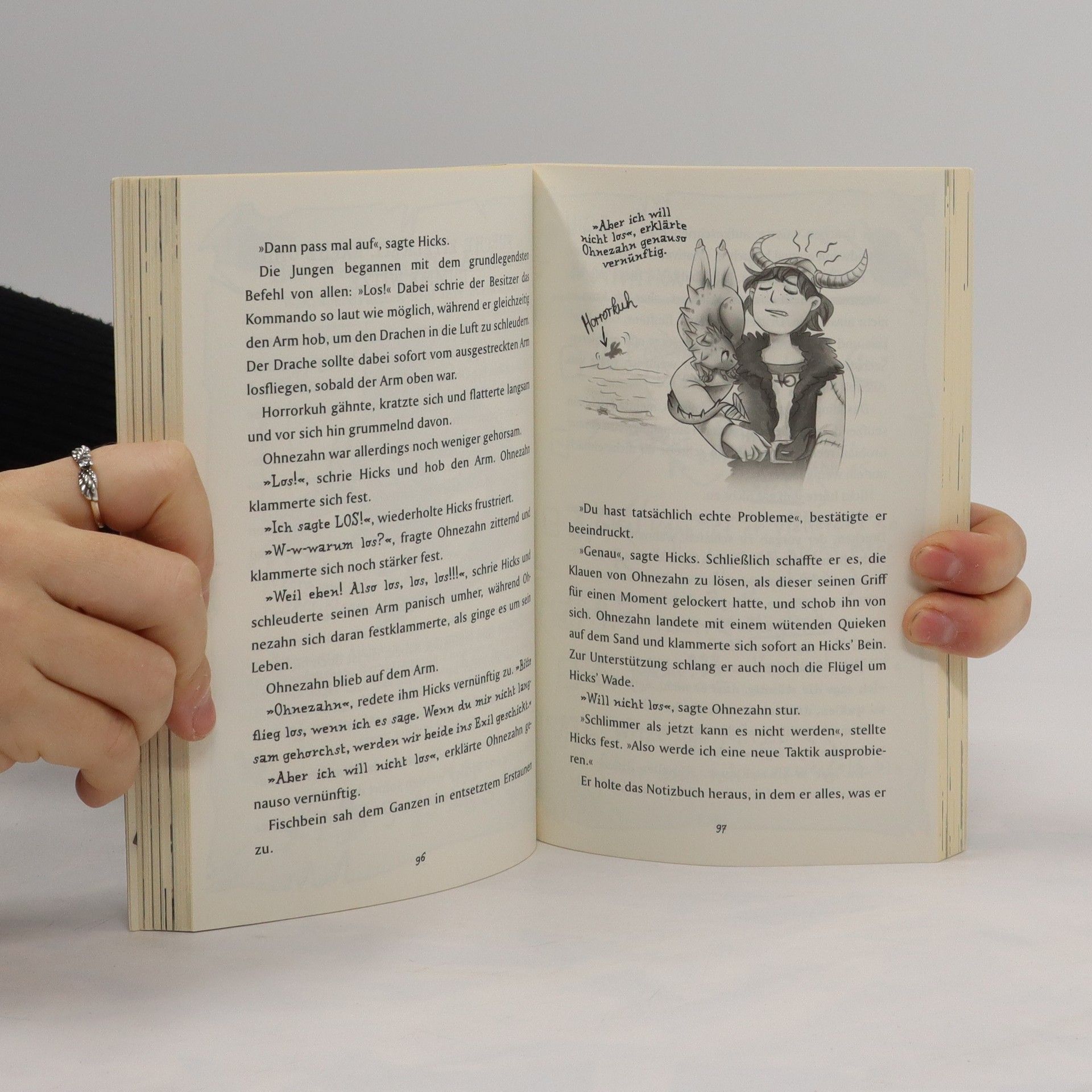 Cressida Cowell Drachenzähmen leicht gemacht Bd.1