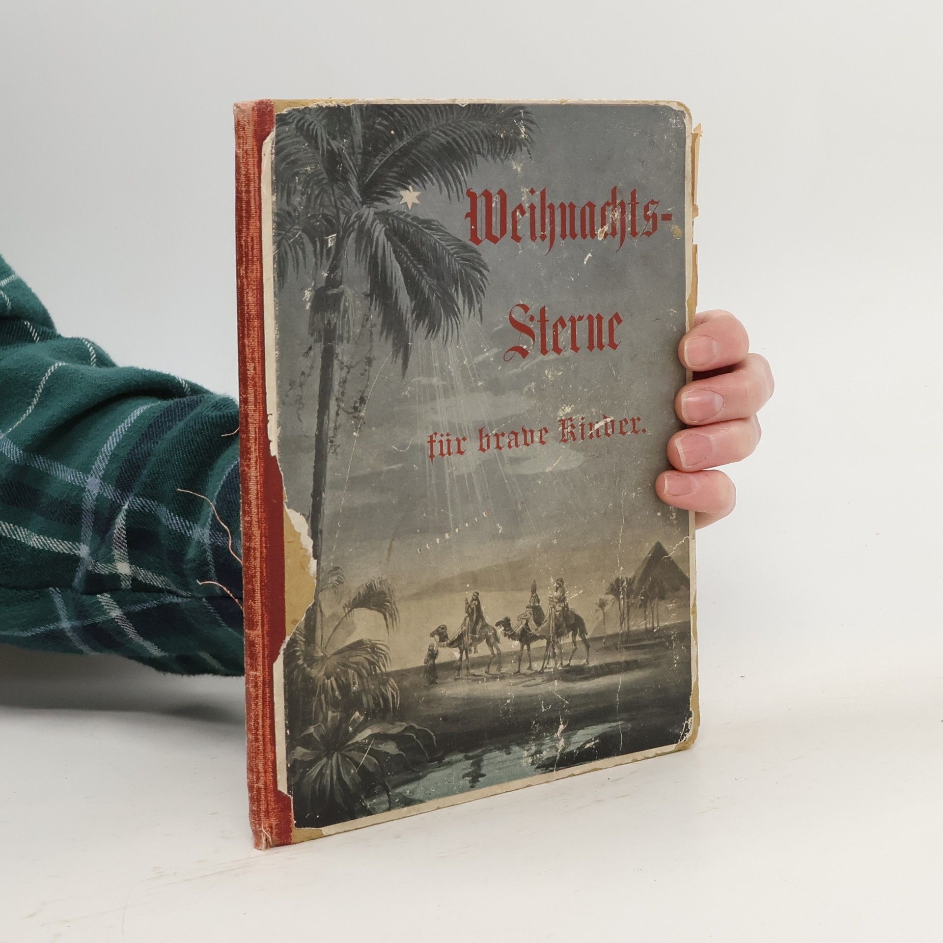 Autorenkollektiv Weihnachtssterne für brave Kinder