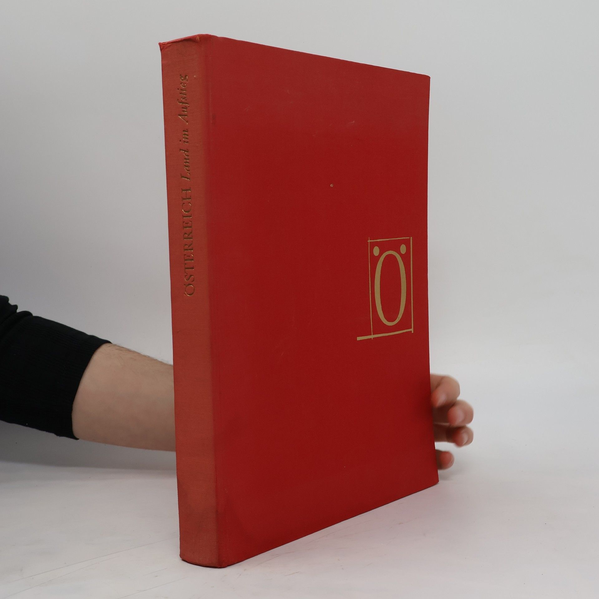 Autorenkollektiv Österreich. Land im Aufstieg