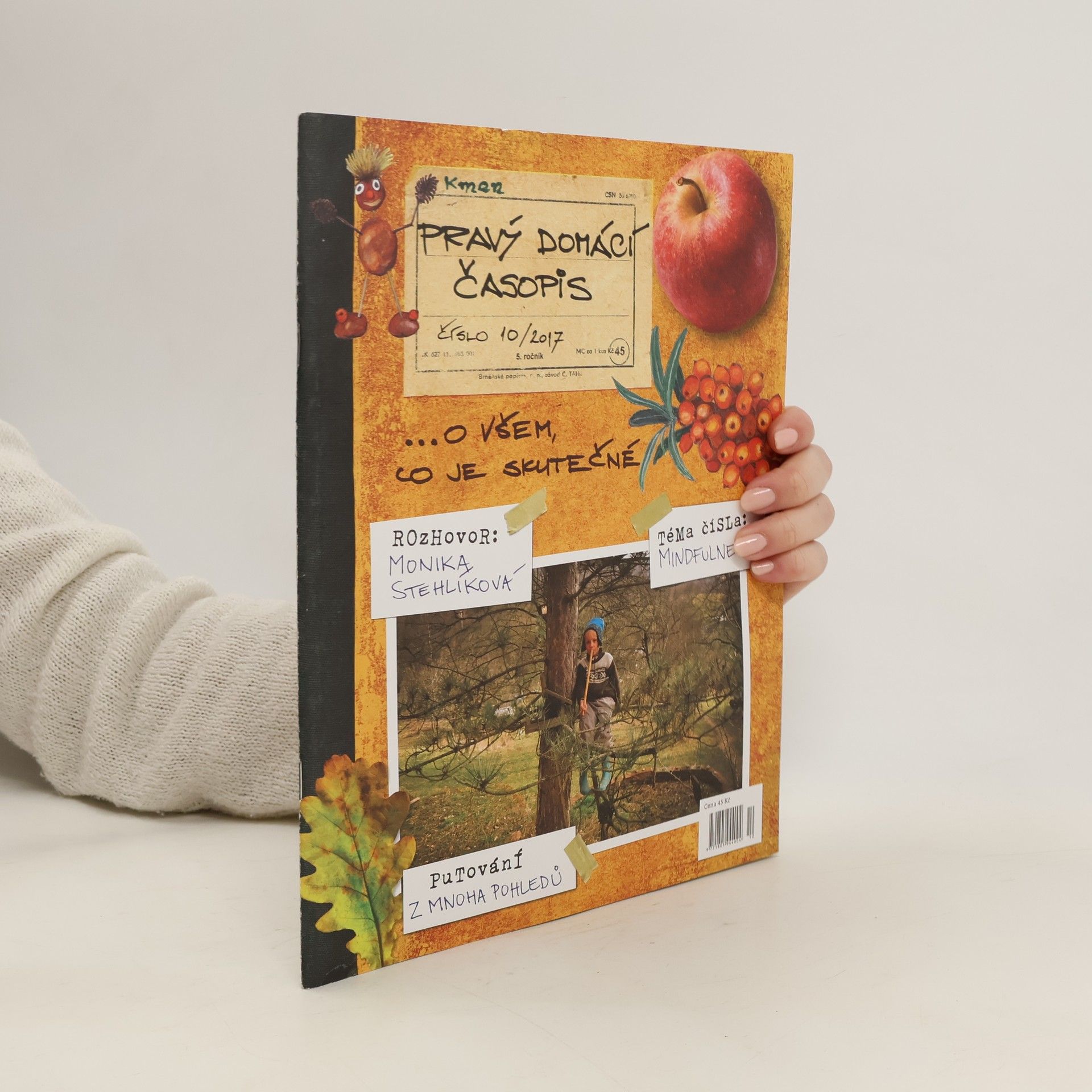 Autorenkollektiv Pravý domácí časopis 10/2017