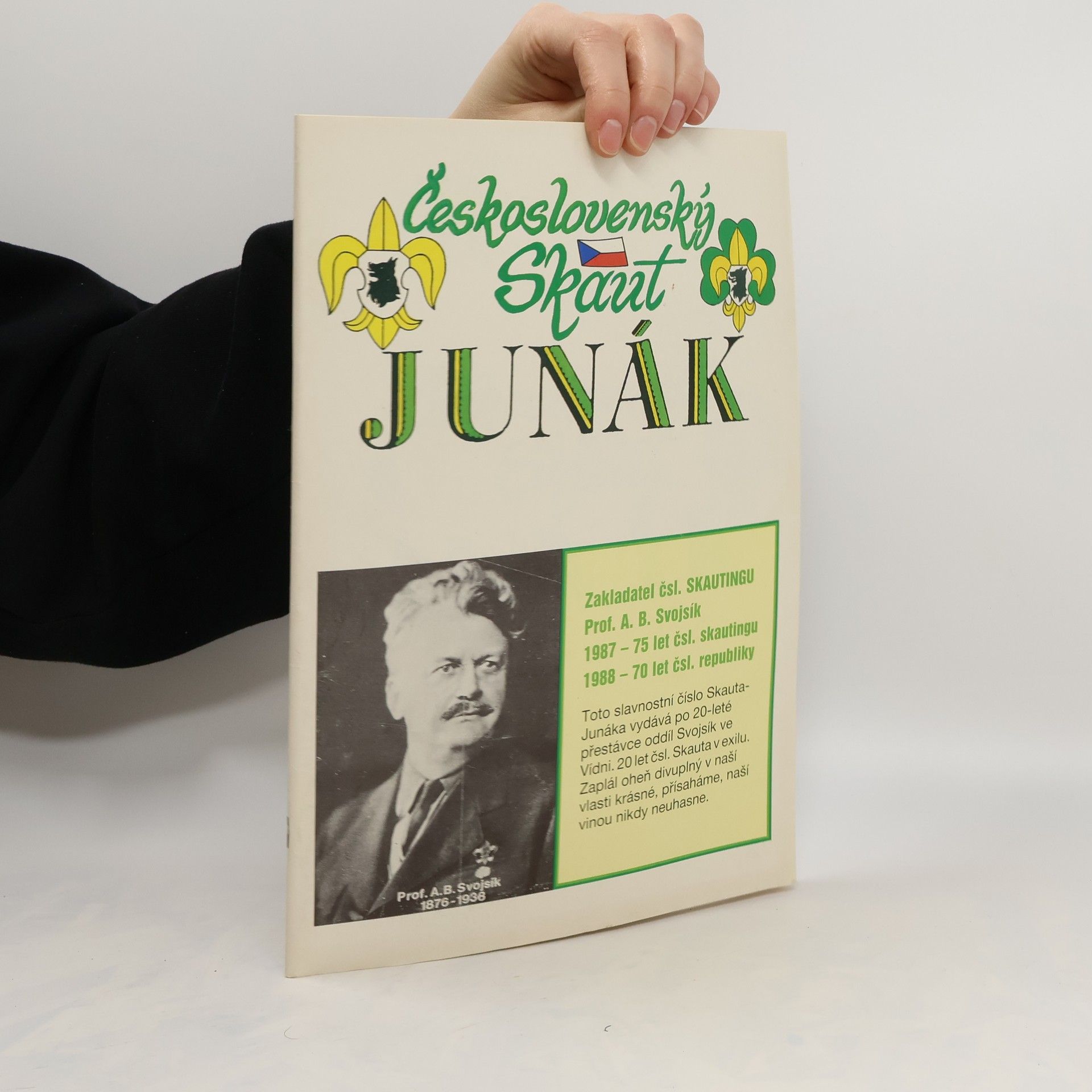 Kolektiv autorů Československý skaut Junák