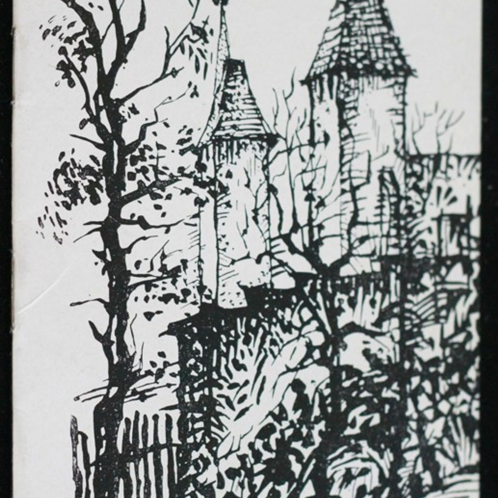 Auteurscollectief Nymburk, město dopravního ruchu v krásném slunném Polabí : Prop. publ.