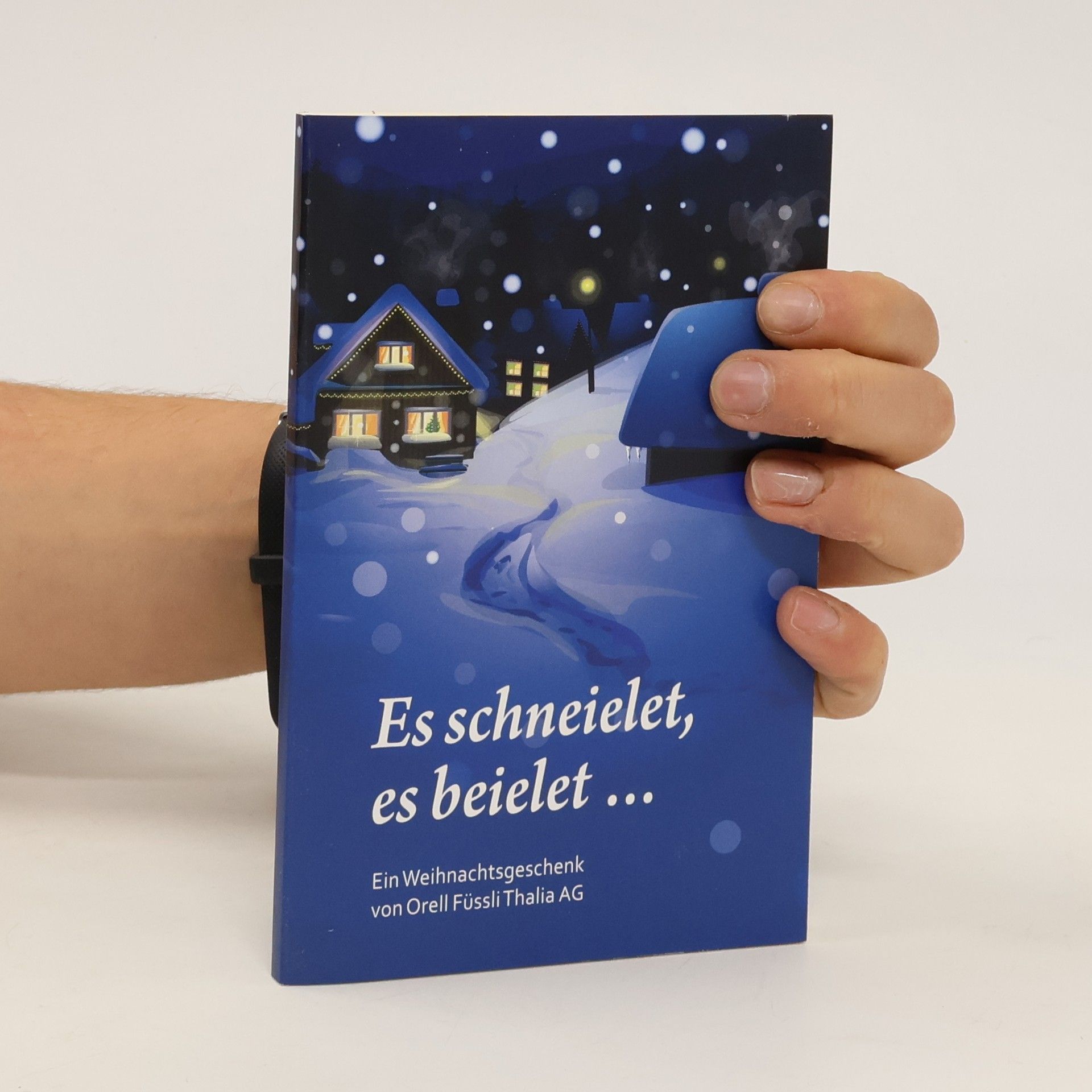 Autorenkollektiv Es schneielet, es beleilet...