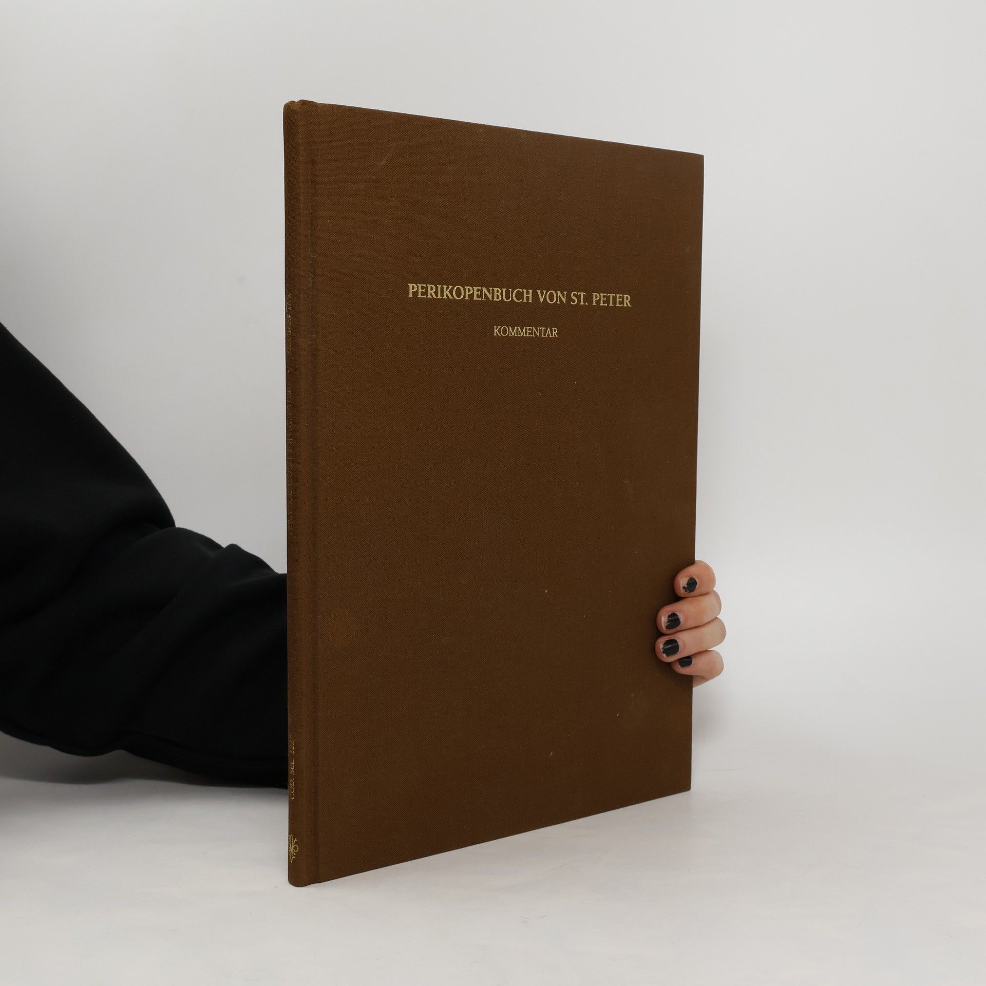 Autorenkollektiv Perikopenbuch von St. Peter