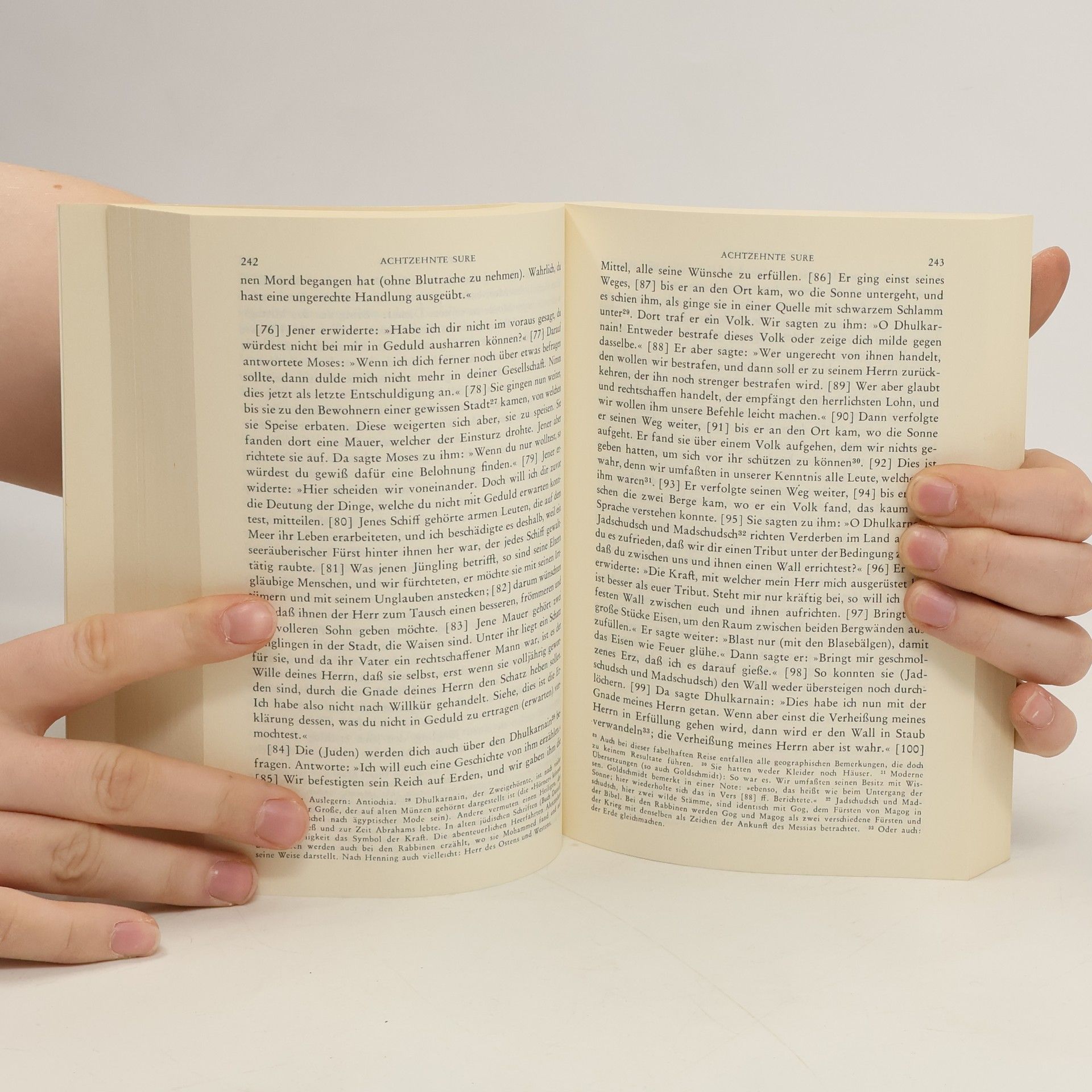 Autorenkollektiv Der Koran: Das heilige Buch des Islam