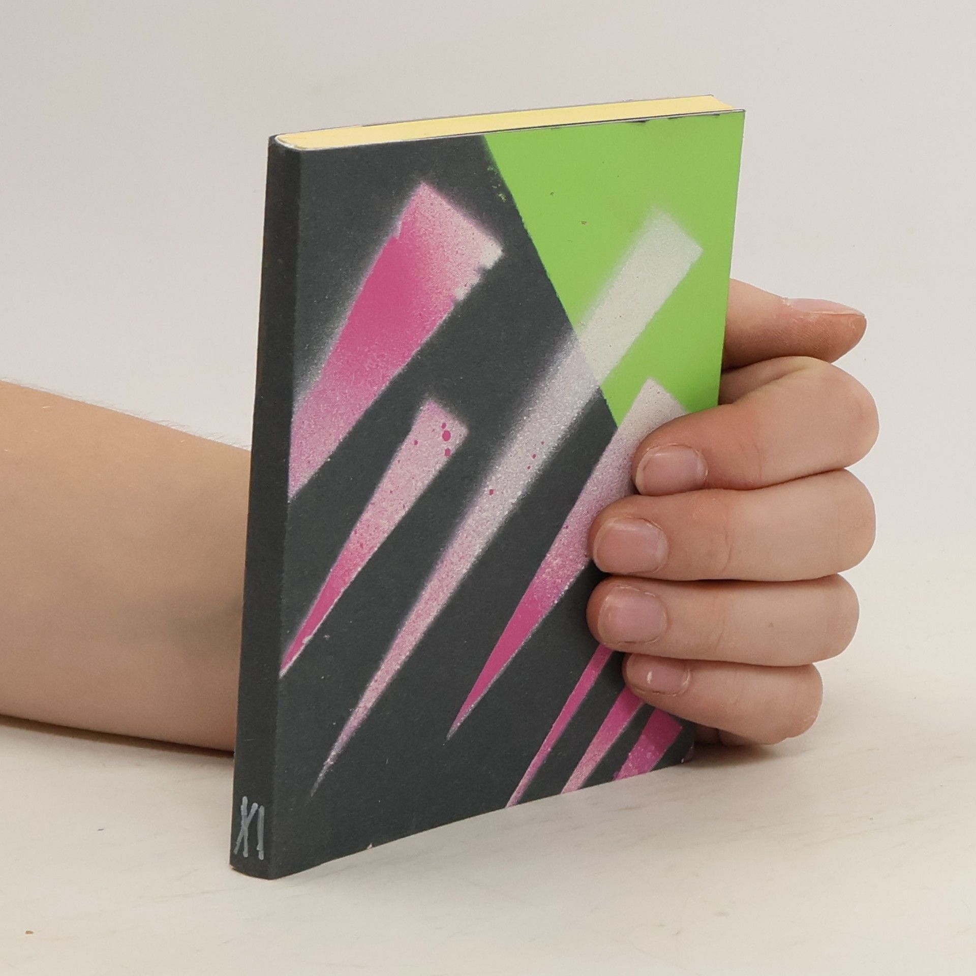 Kolektív autorov Open Stage 11