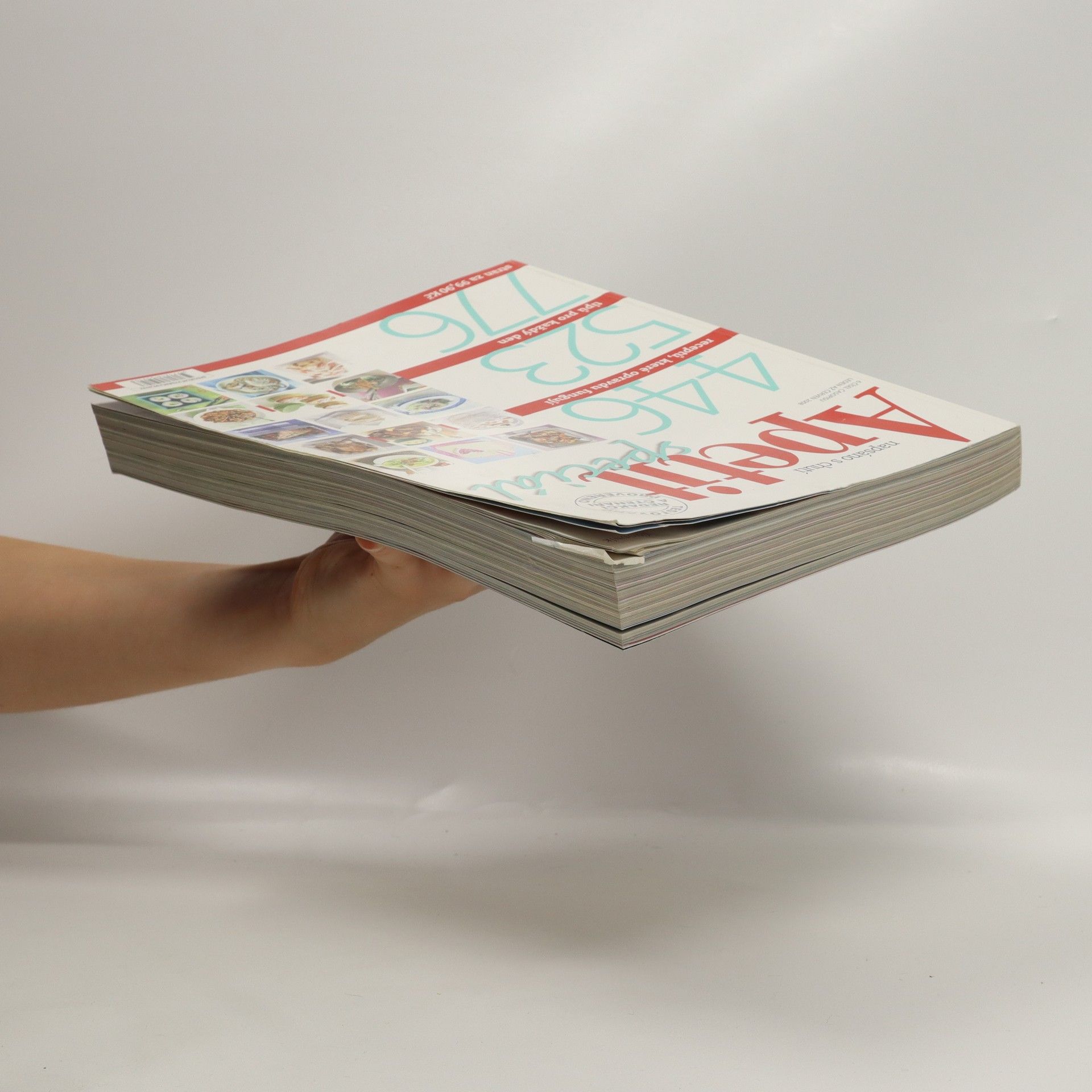 Autorenkollektiv Apetit speciál. Čísla 1-6/2008 (v 1 svazku, vevázané obálky)