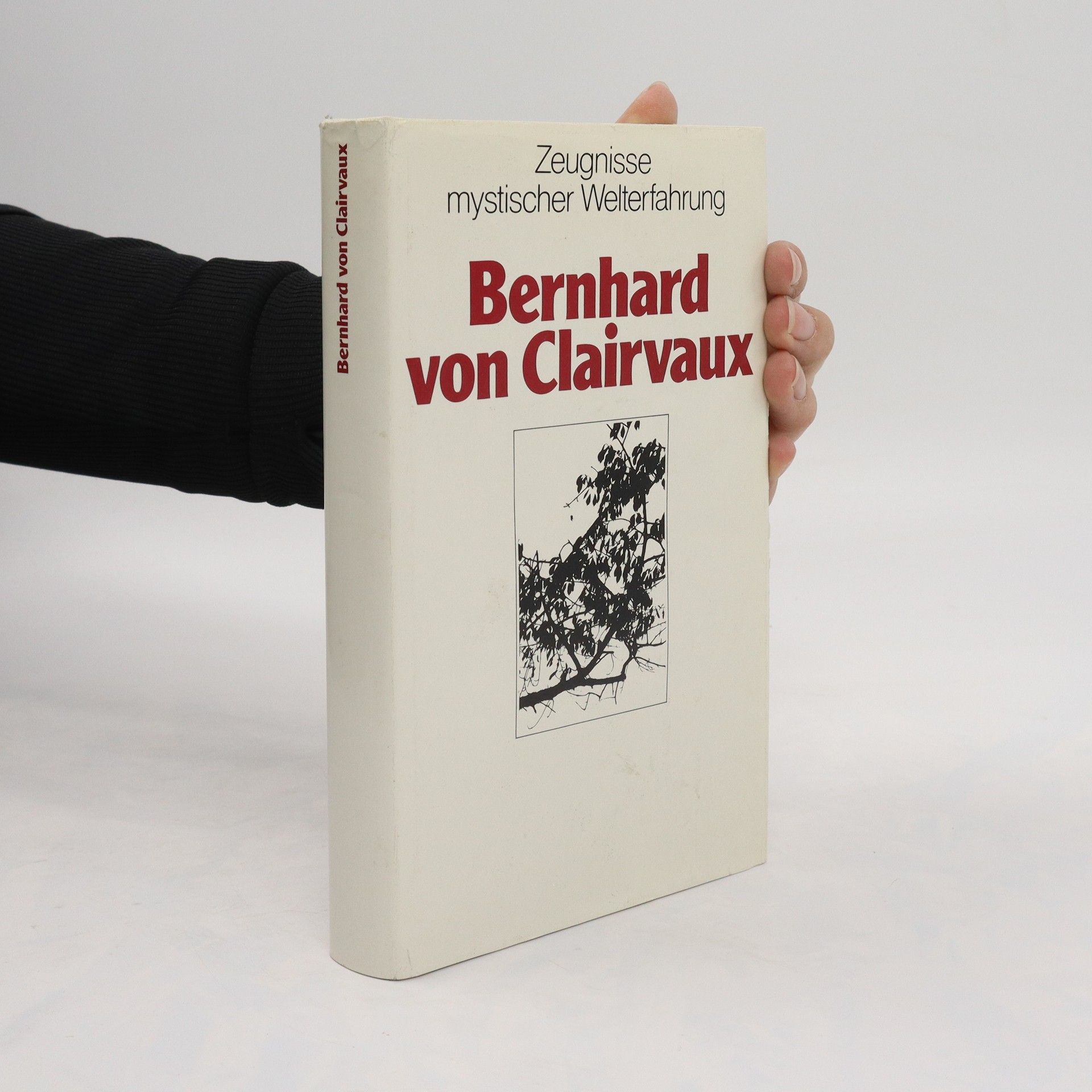 Bernardin Shellenberger Bernhard von Clairvaux. Zeugnisse mystischer Welterfahrung
