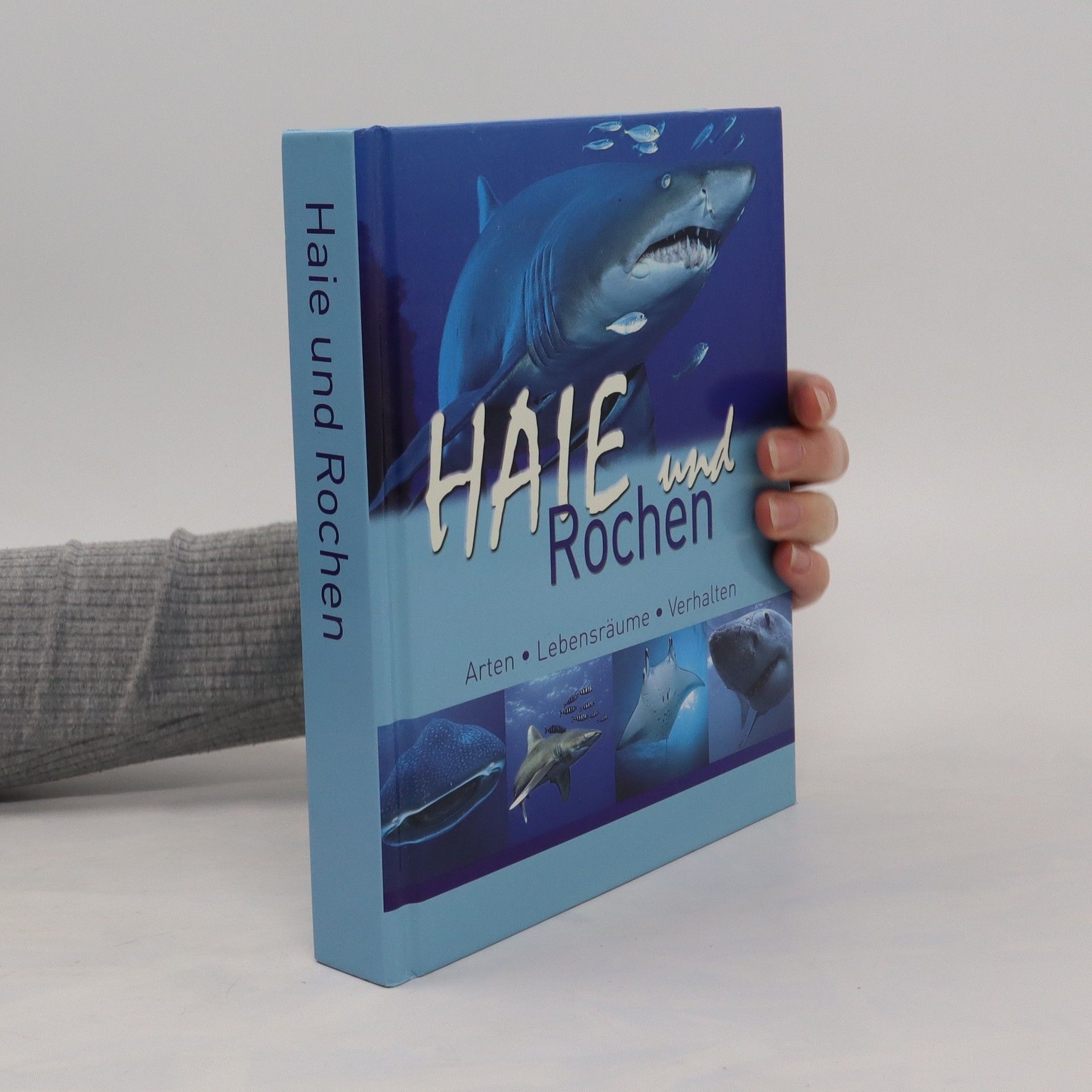 Kolektív autorov Haie und Rochen