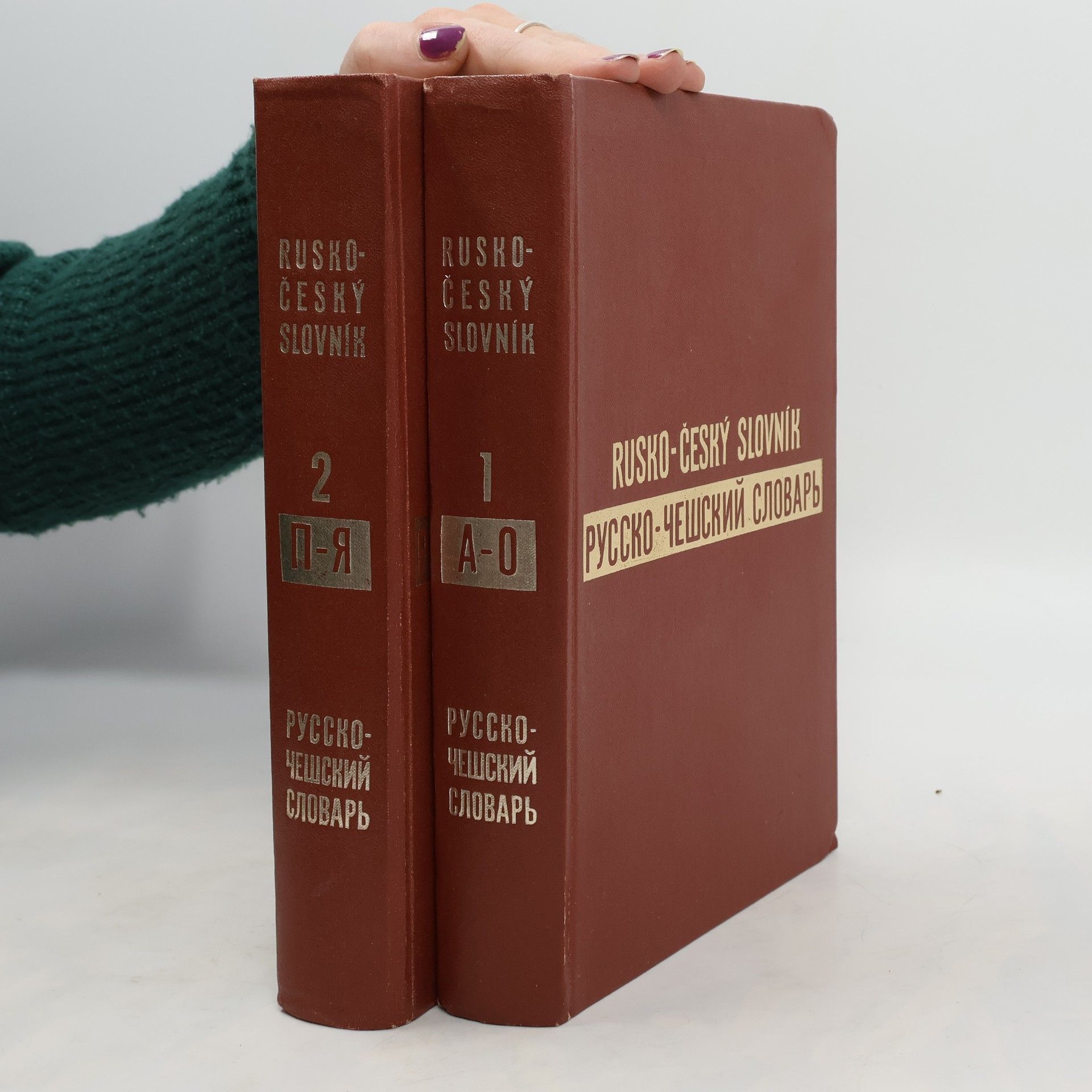 Collectif d'auteurs Rusko-Český slovník 1-2