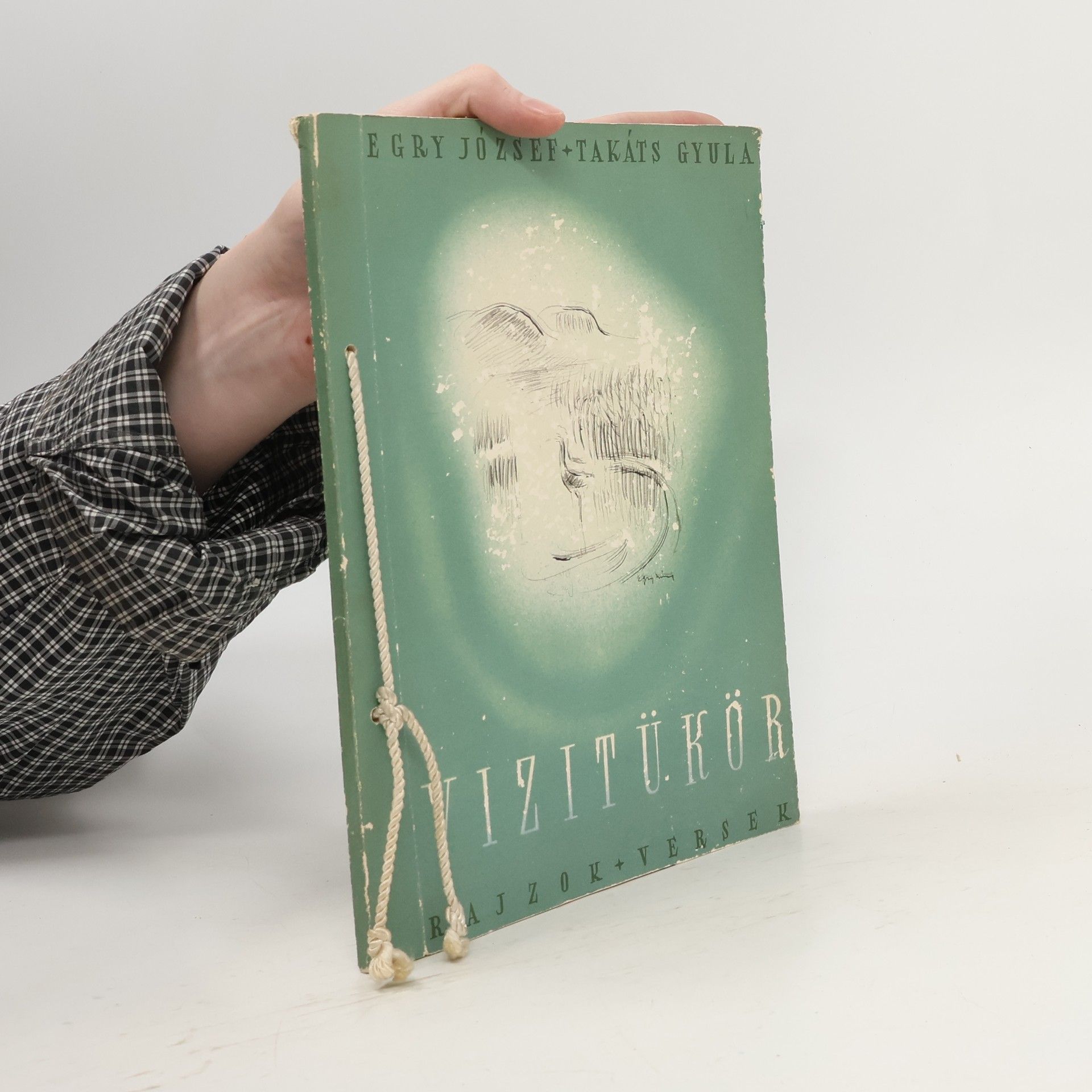 Egry József Vizitükör