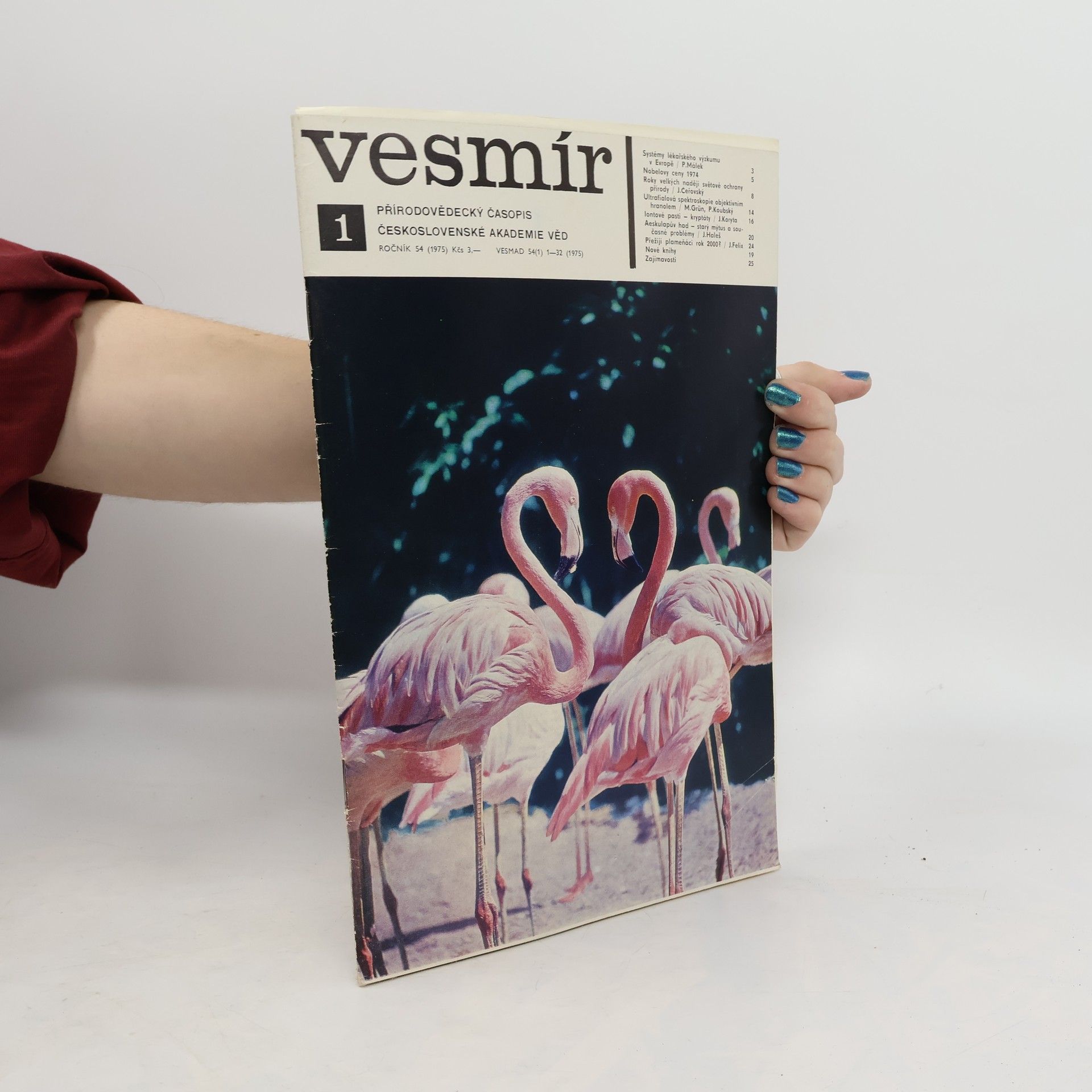 Collectif d'auteurs Vesmír 54/1975