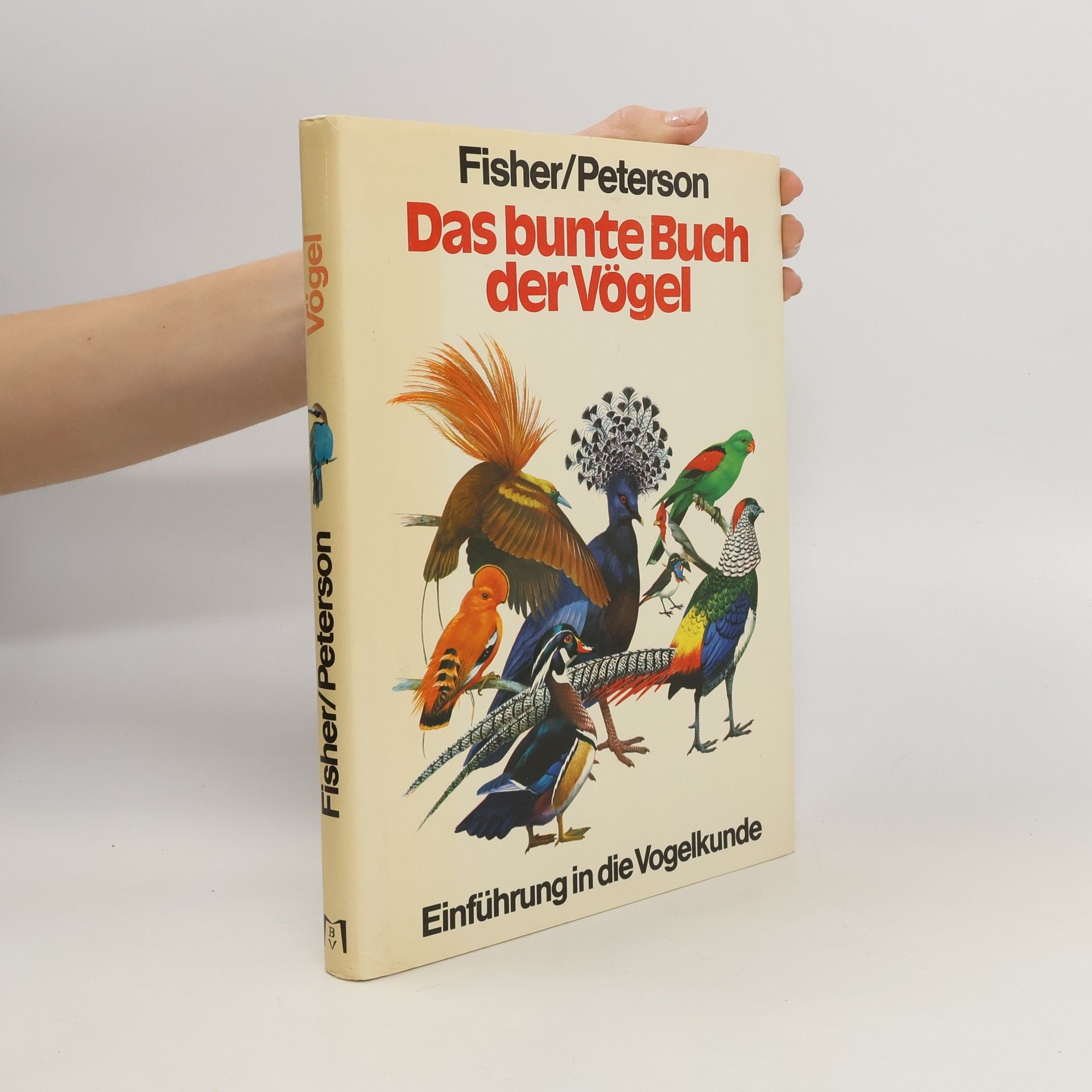 Autorenkollektiv Das bunte Buch der Vögel