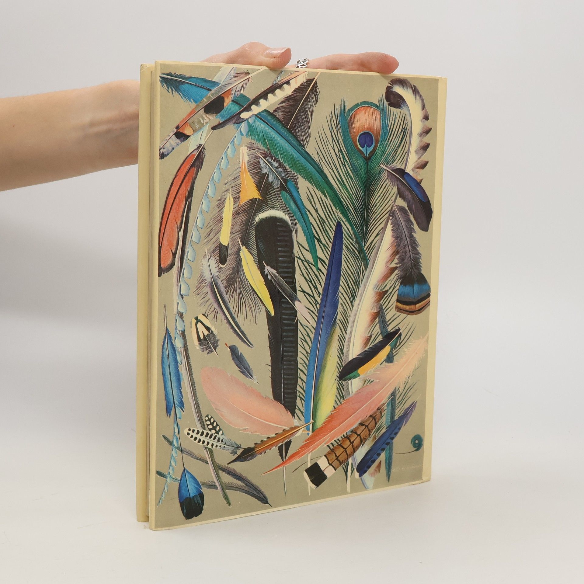 Autorenkollektiv Das bunte Buch der Vögel
