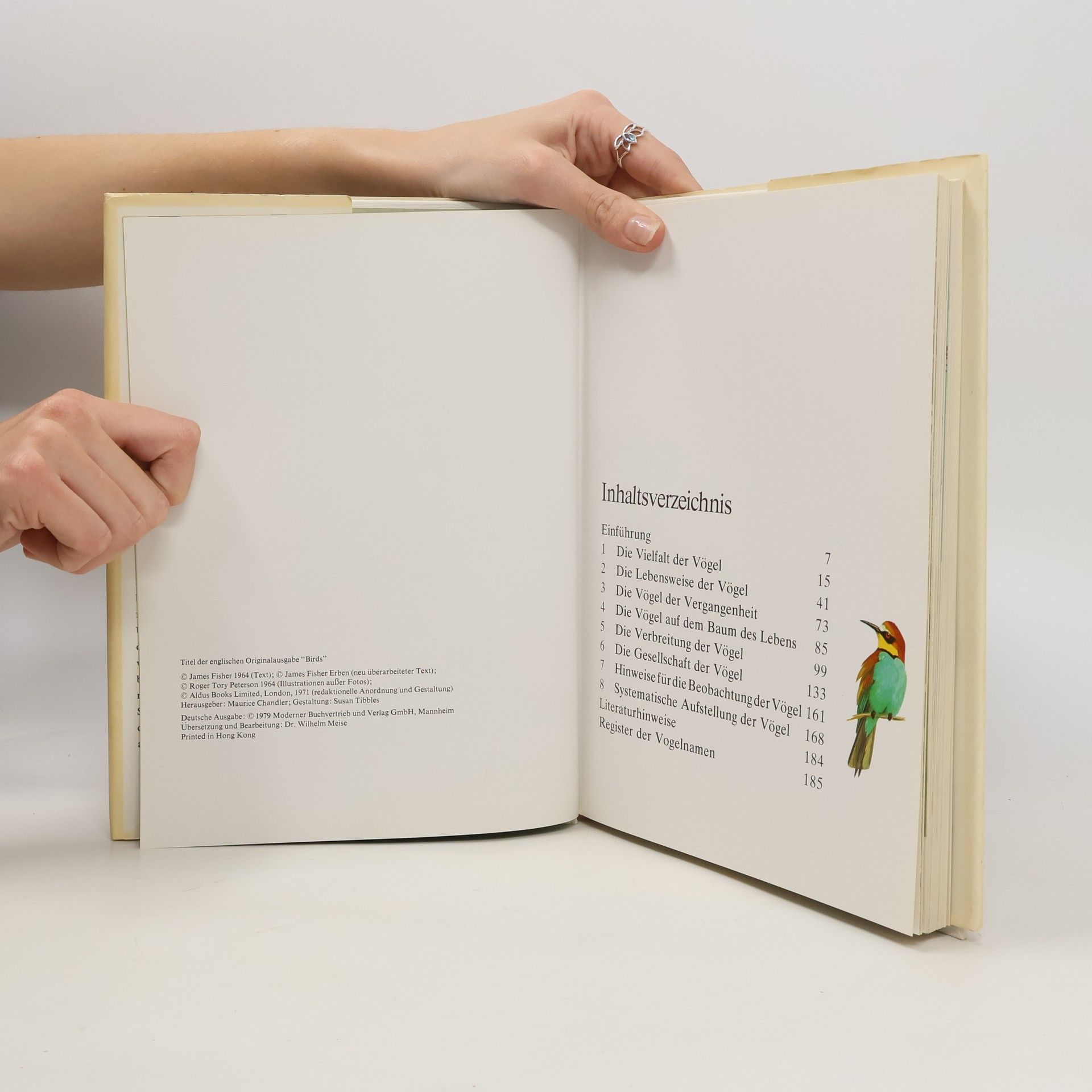 Autorenkollektiv Das bunte Buch der Vögel