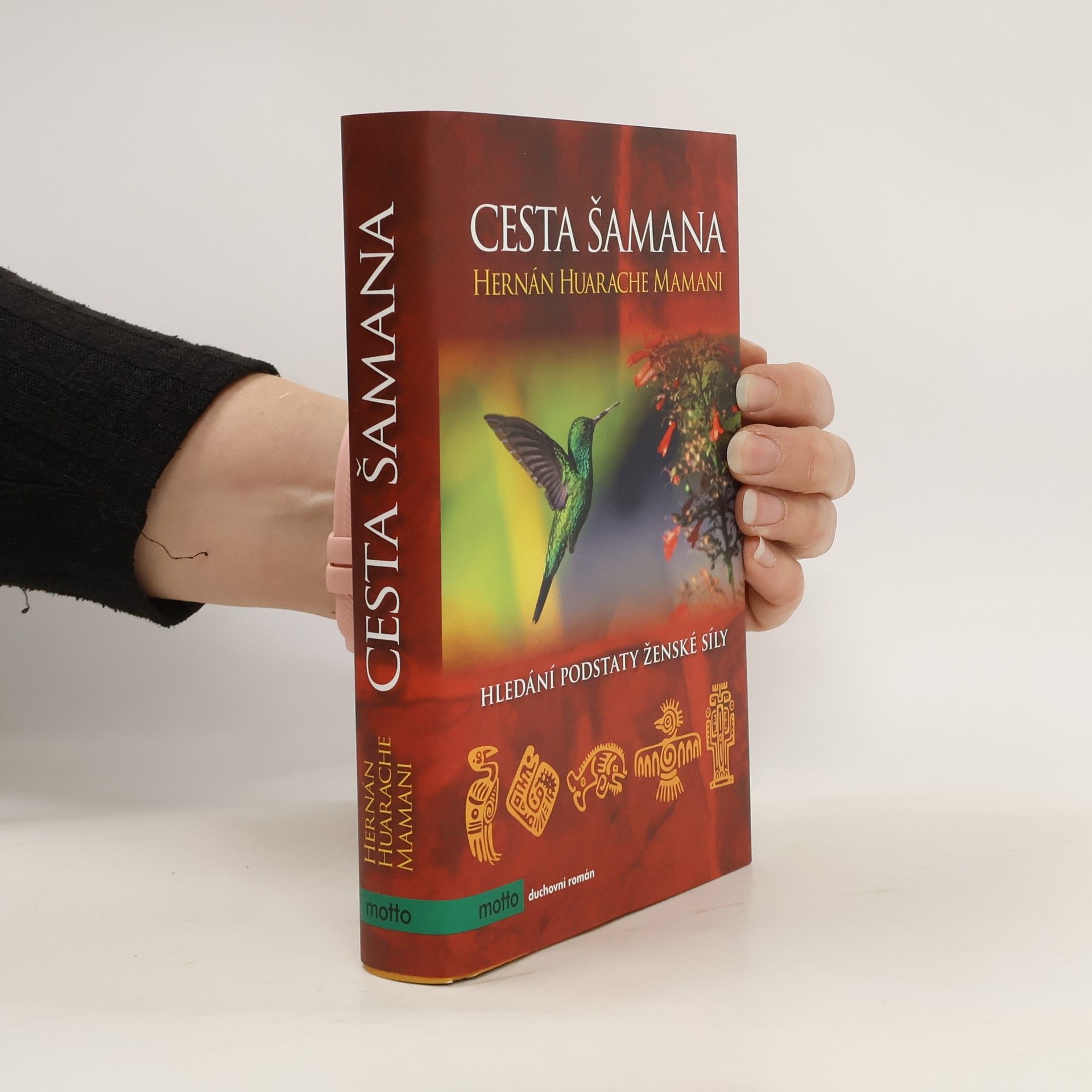 Hernán Huarache Mamani Cesta šamana : hledání podstaty ženské síly