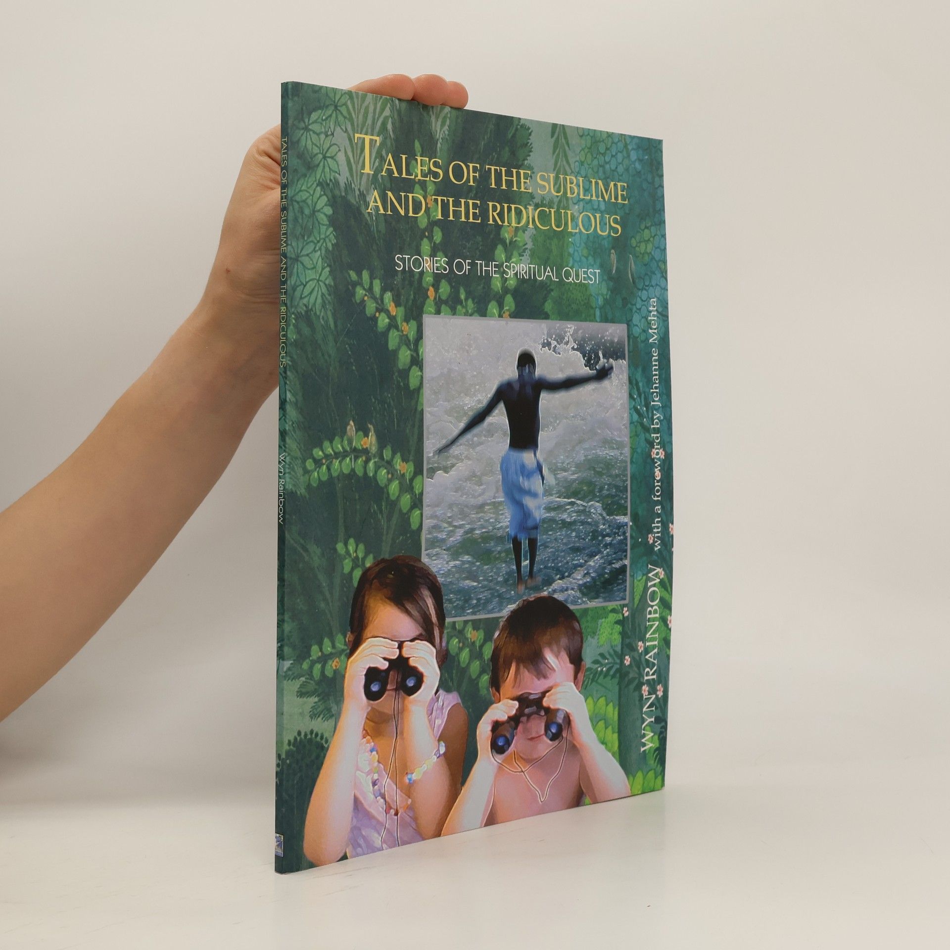 Wyn Rainbow Tales of the Sublime and the Ridiculous