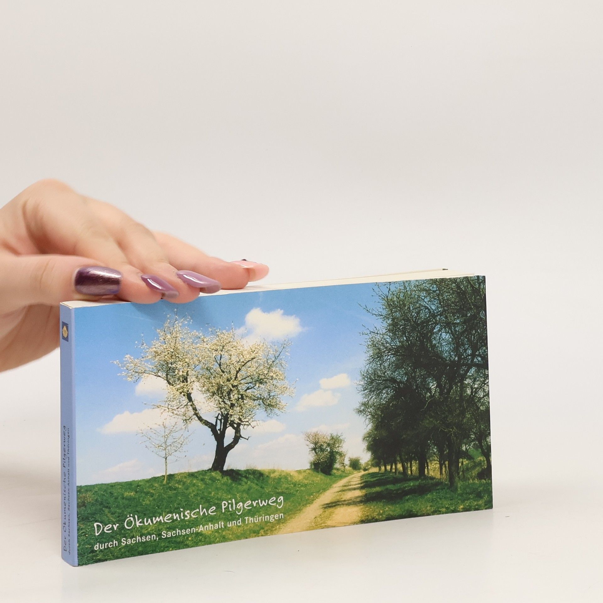 Autorenkollektiv Der Ökumenische Pilgerweg