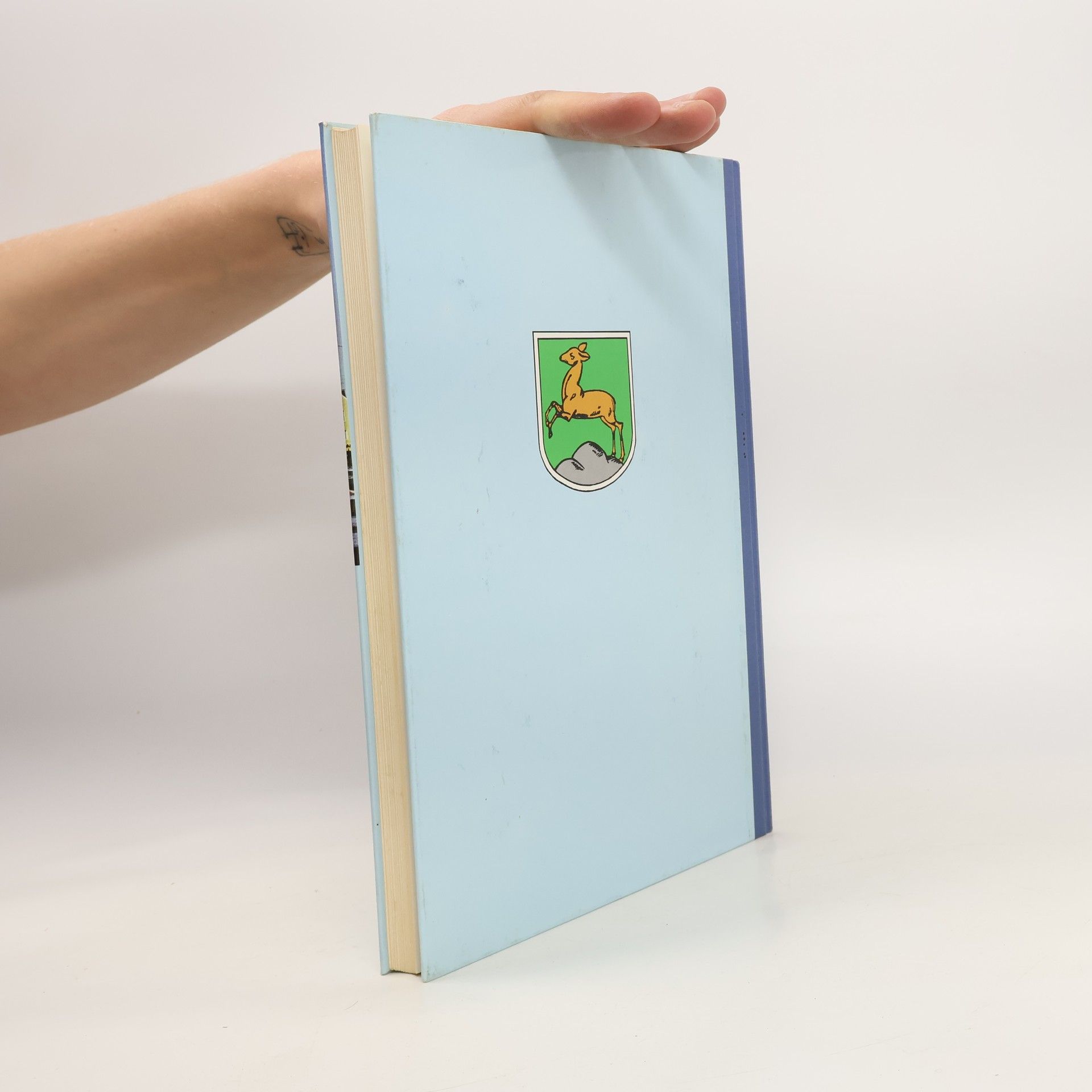 Paulinus Fröhlich Wolnzach. Chronik des Hallertauer Marktes