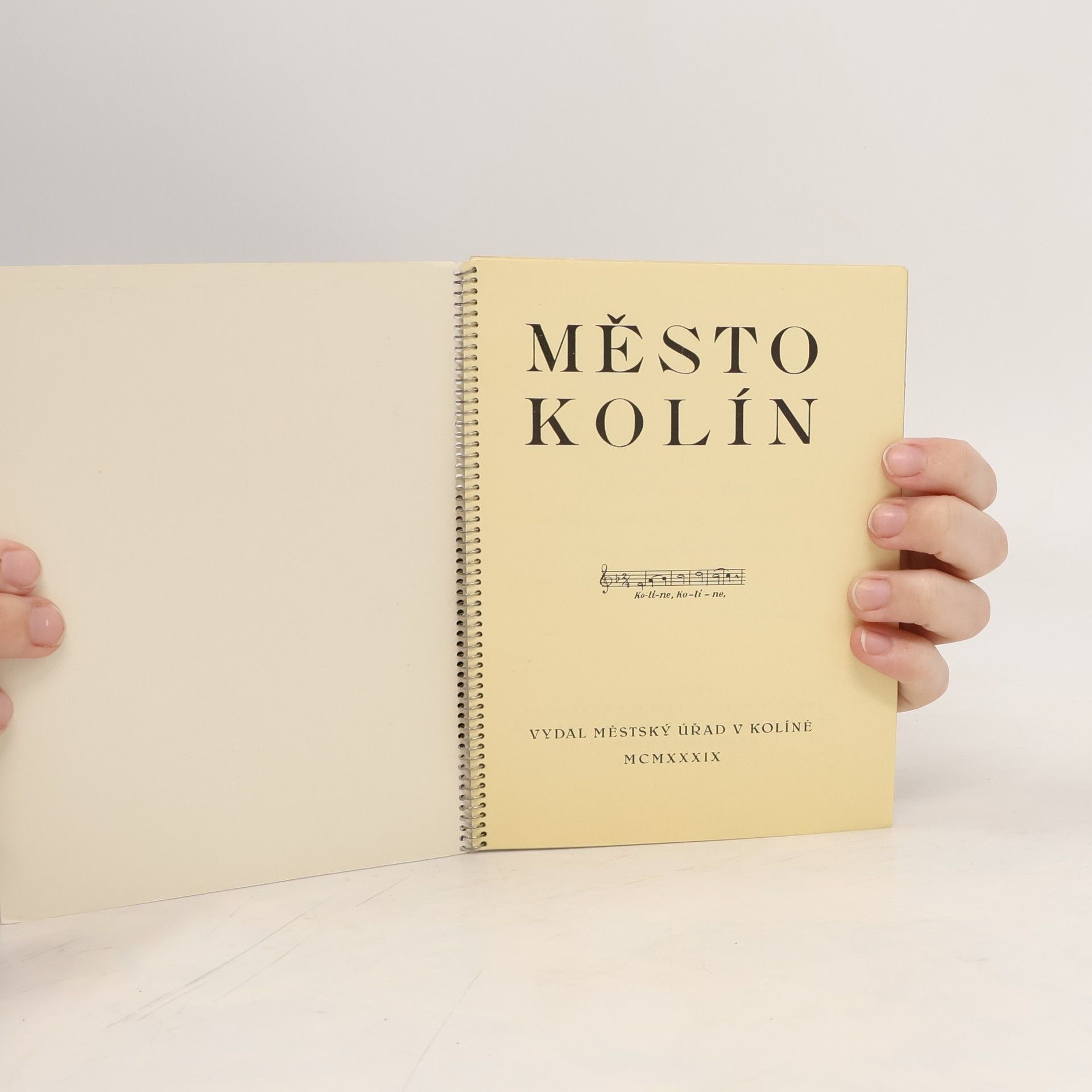 Kolektiv autorů Město Kolín