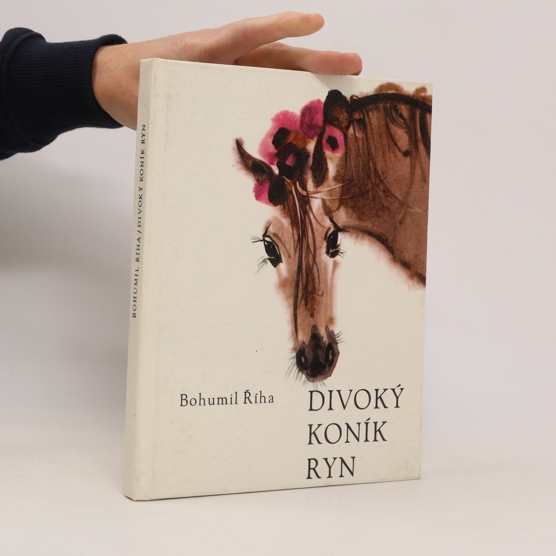 Bohumil Říha Divoký koník Ryn