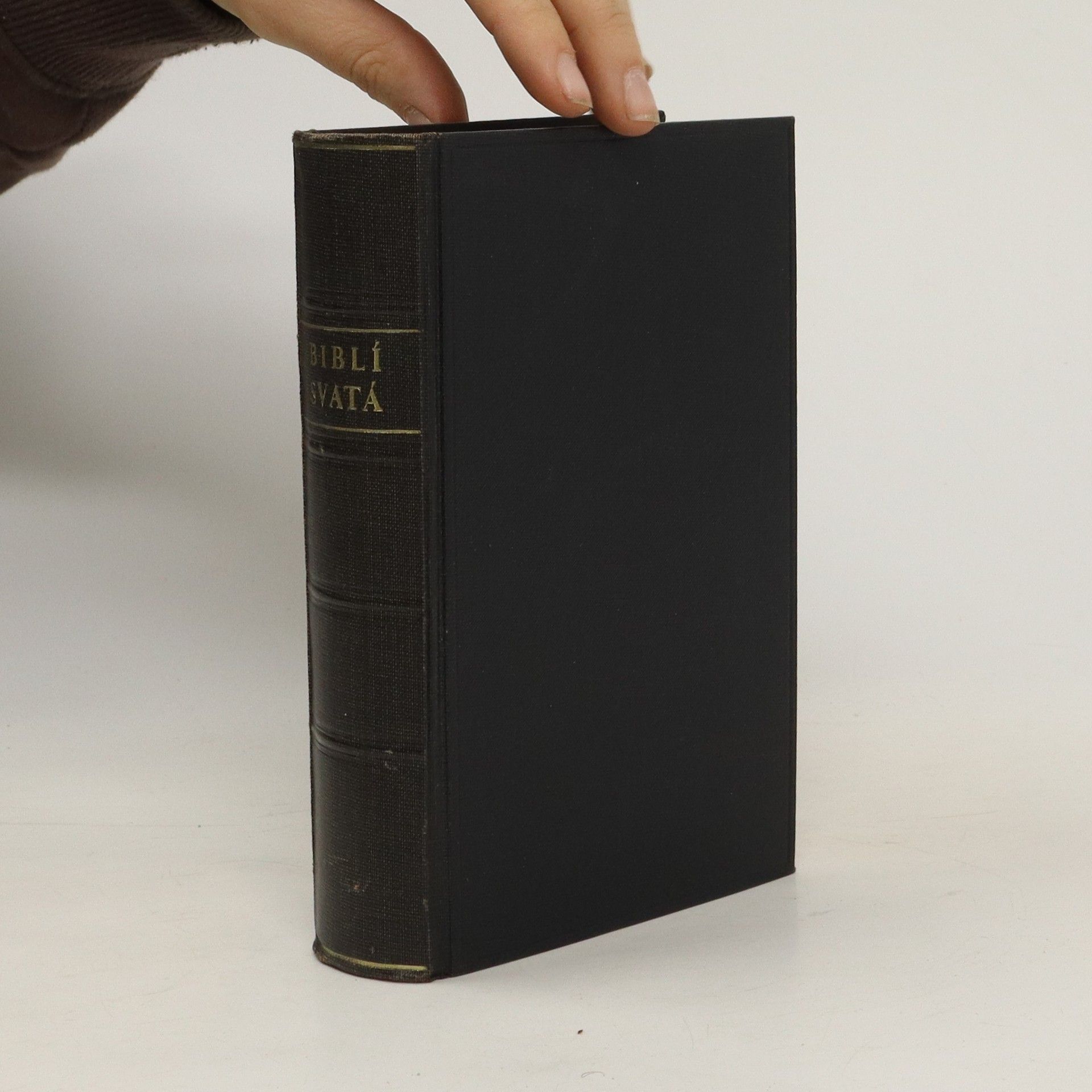 Kolektiv autorů Biblí svatá aneb Všecka svatá písma Starého i Nového zákona